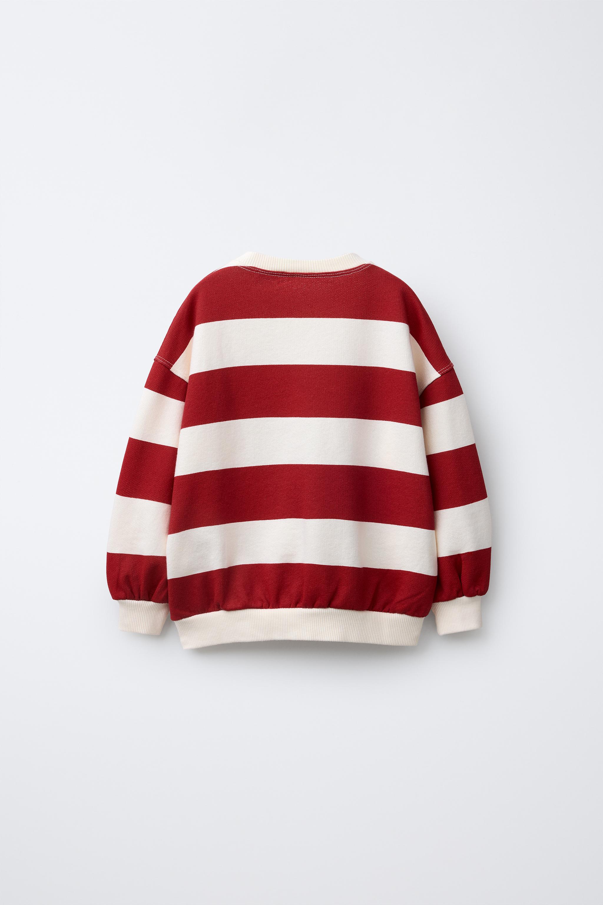 STRIPED EMBROIDERED SWEATSHIRT