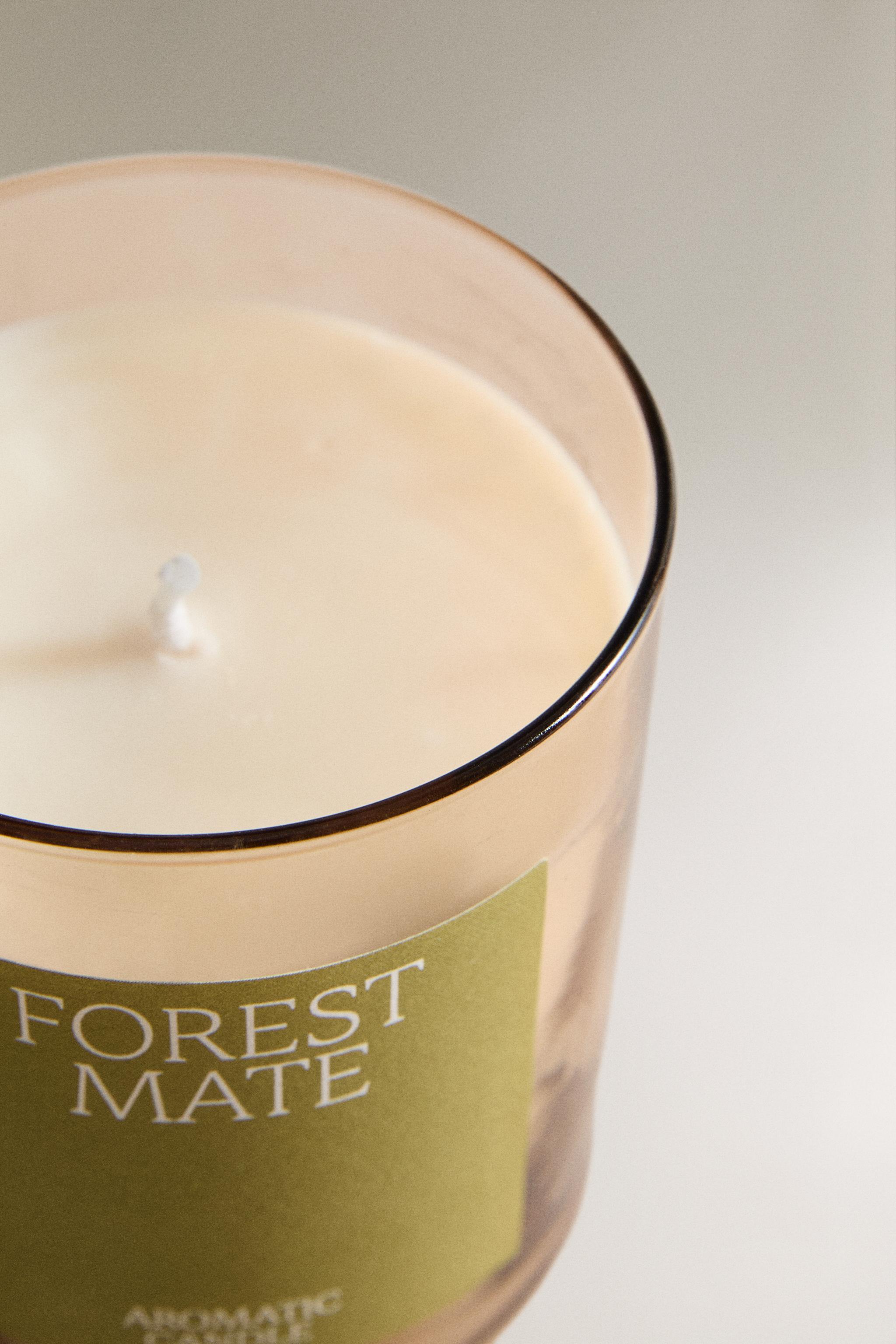 (250 G) FOREST MATTE SCENTED CANDLE