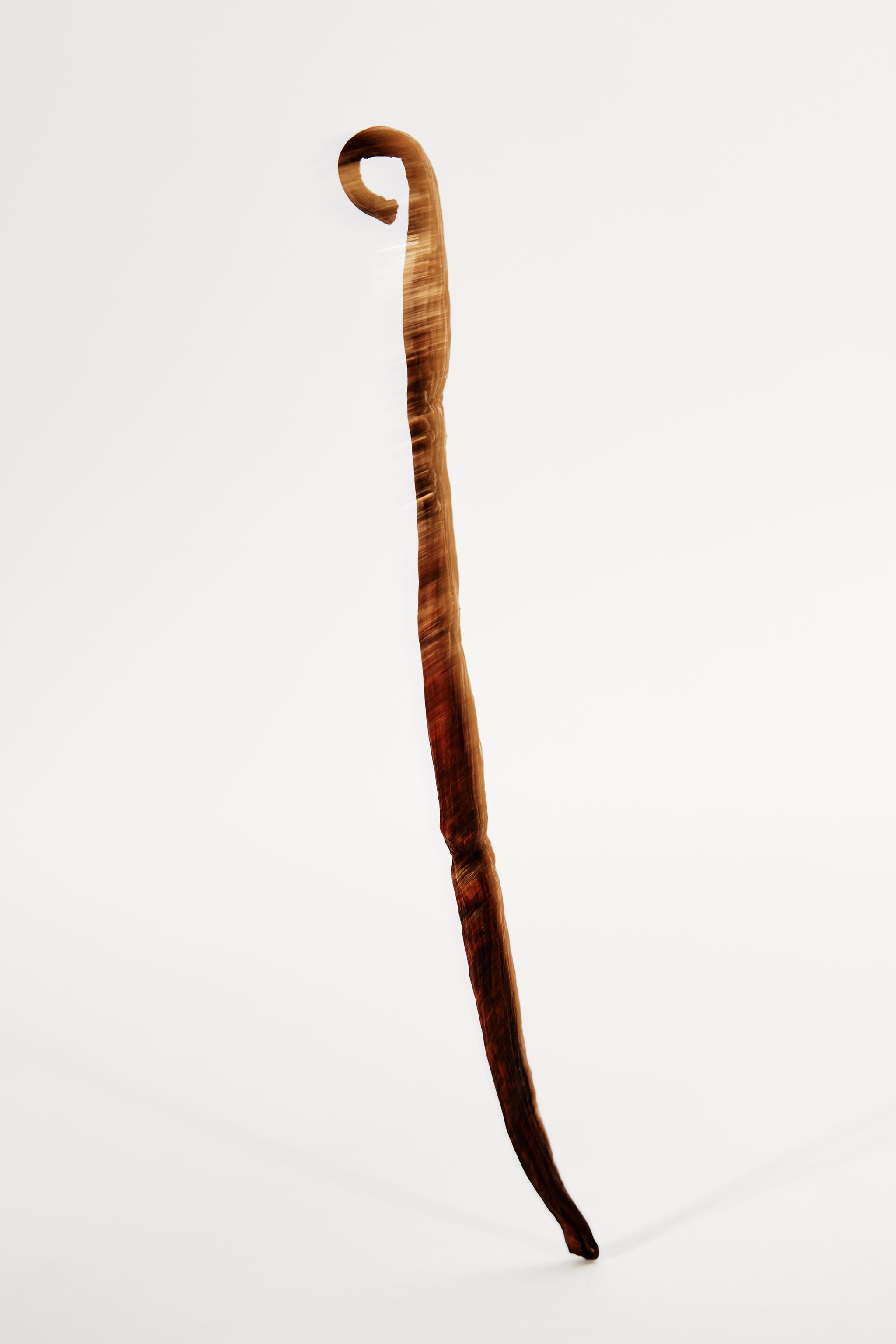 VANILLA MELT EDP 90ML (3.04 FL. OZ).