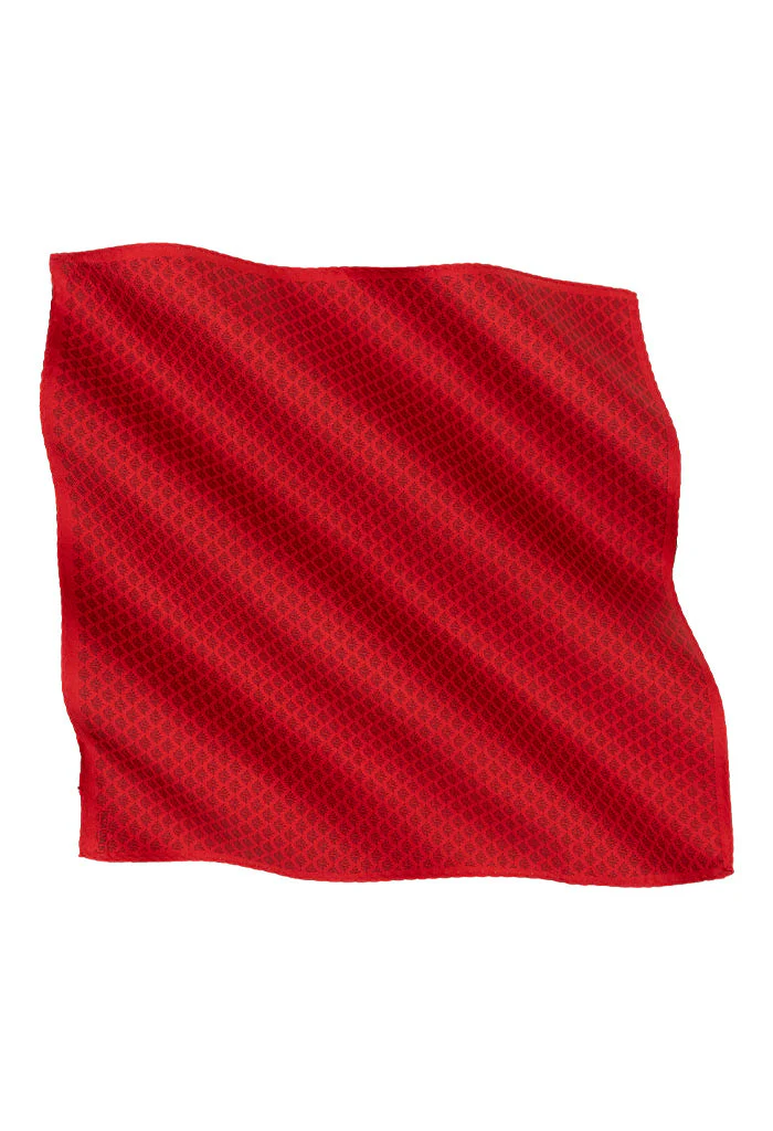 Pañuelo Campo Agaves