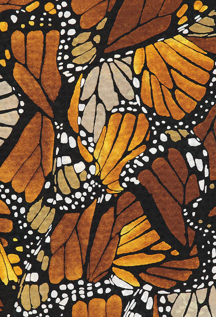 Chalina Mariposa Macro Jqd