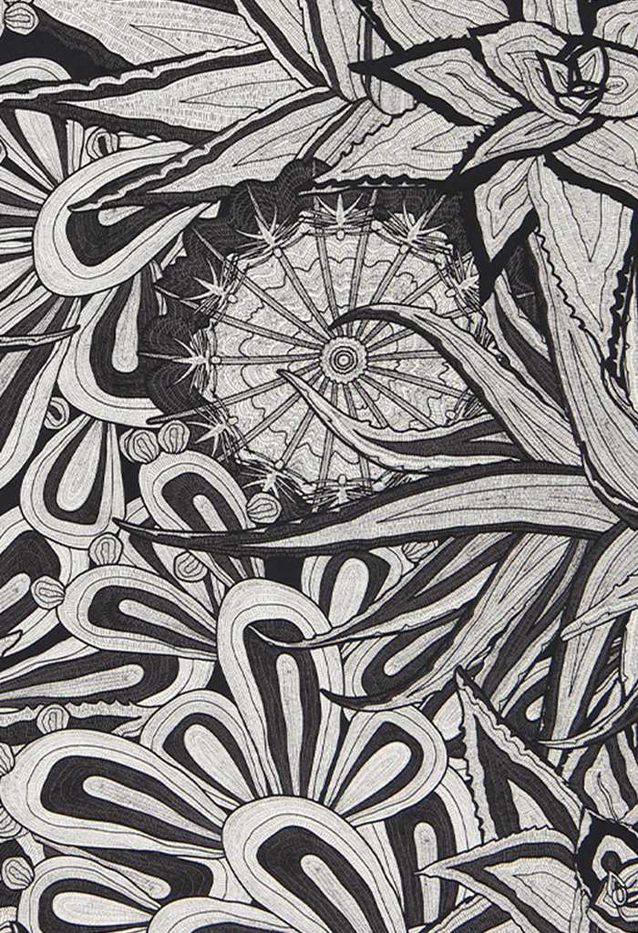 Chalina Santuario Cactáceas