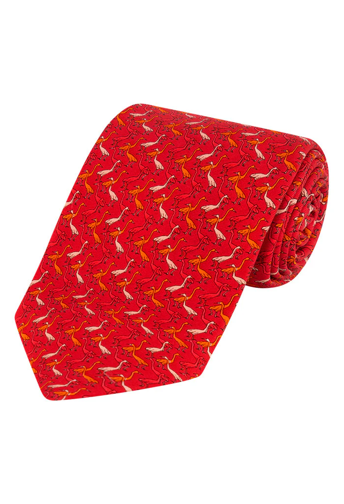 Corbata Garzas