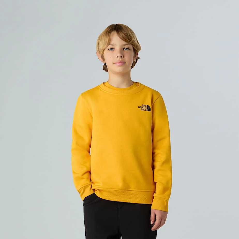 Teens' NSE Box Sweatshirt