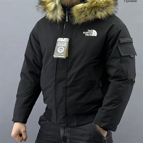 THE NORTH FACEPolar Air Down Jacket