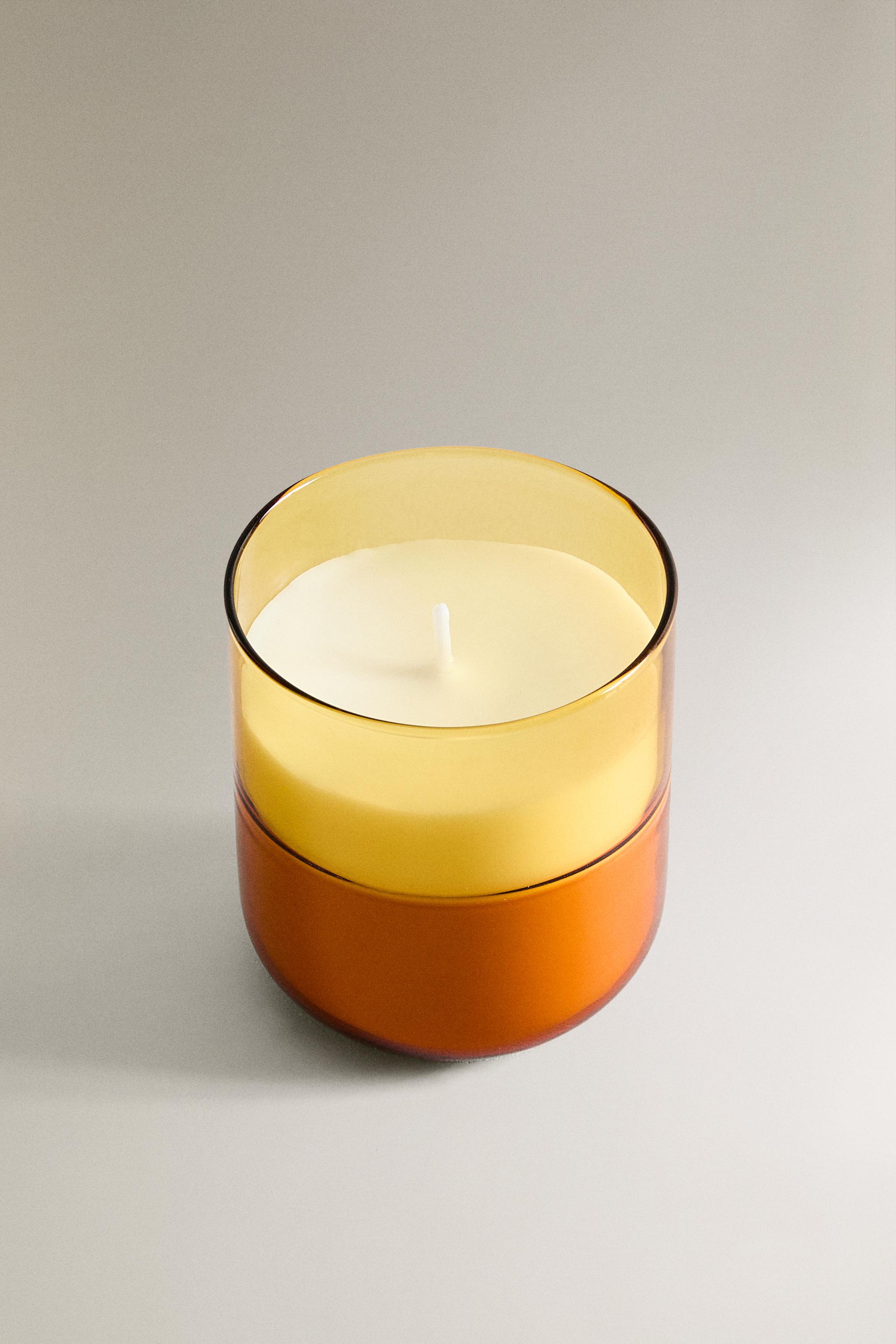 (220 G) COCONUT & PINEAPPLE SCENTED CANDLE