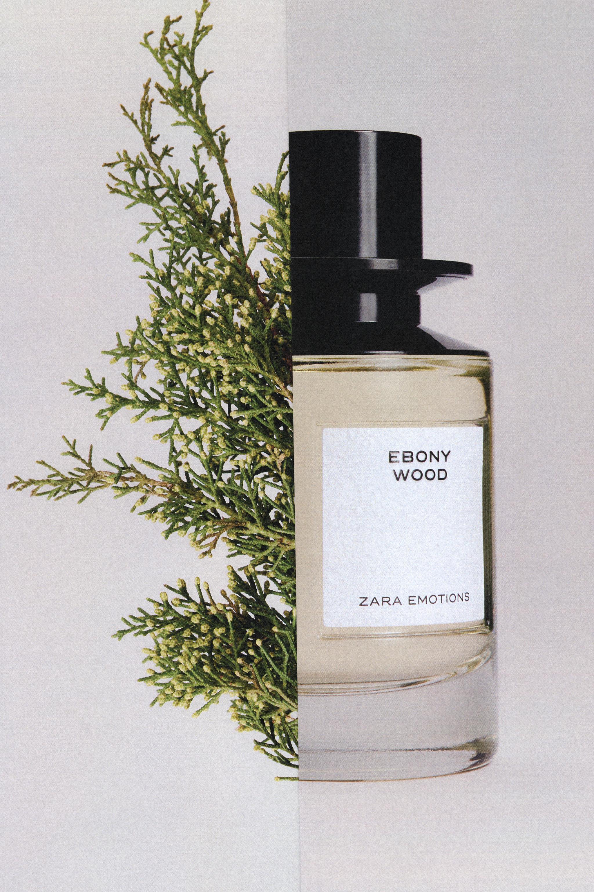 EBONY WOOD EDP 100ML (3.4 FL.OZ)