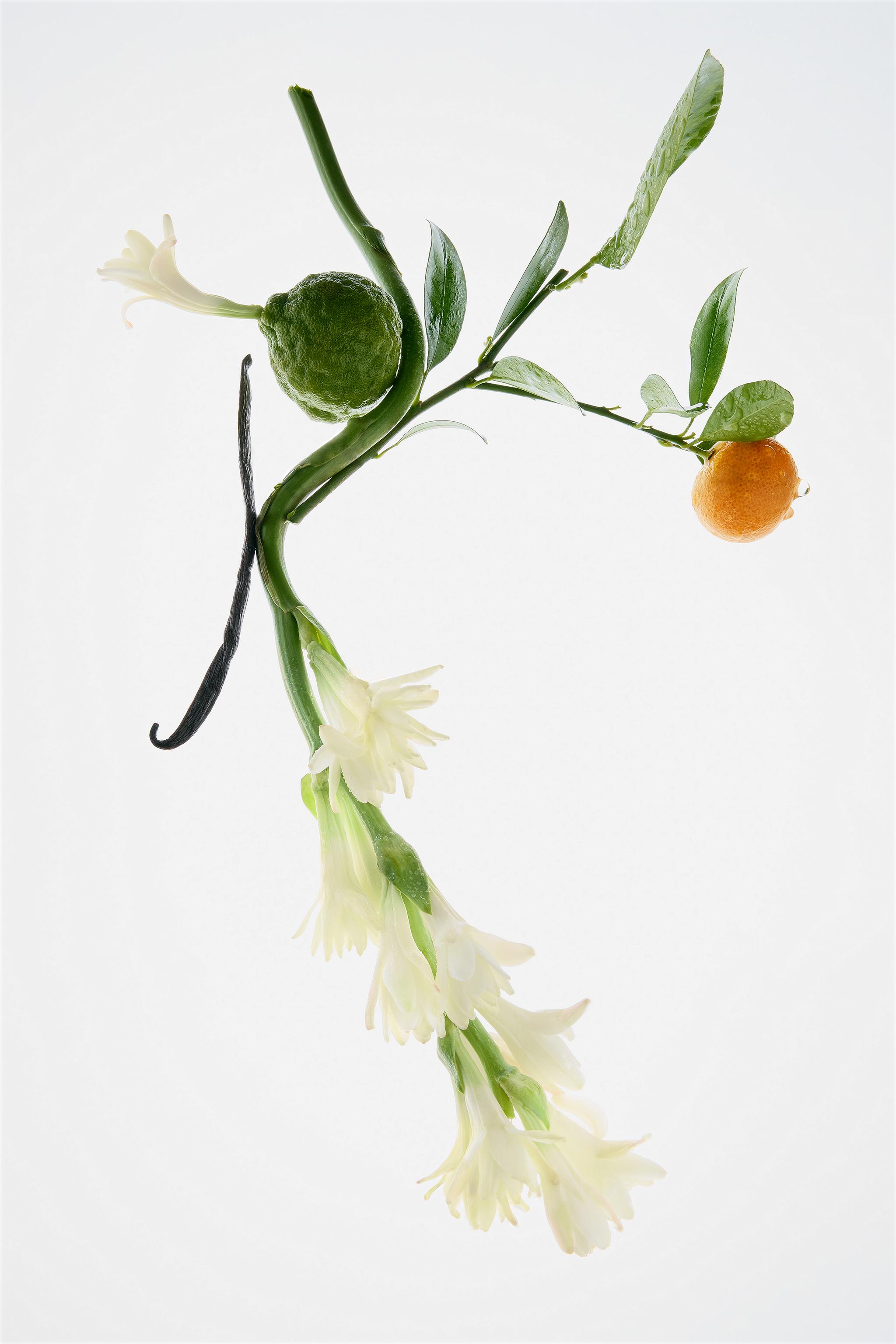 SUBLIME EPOQUE EDP 80 ML (2.71 FL. OZ).