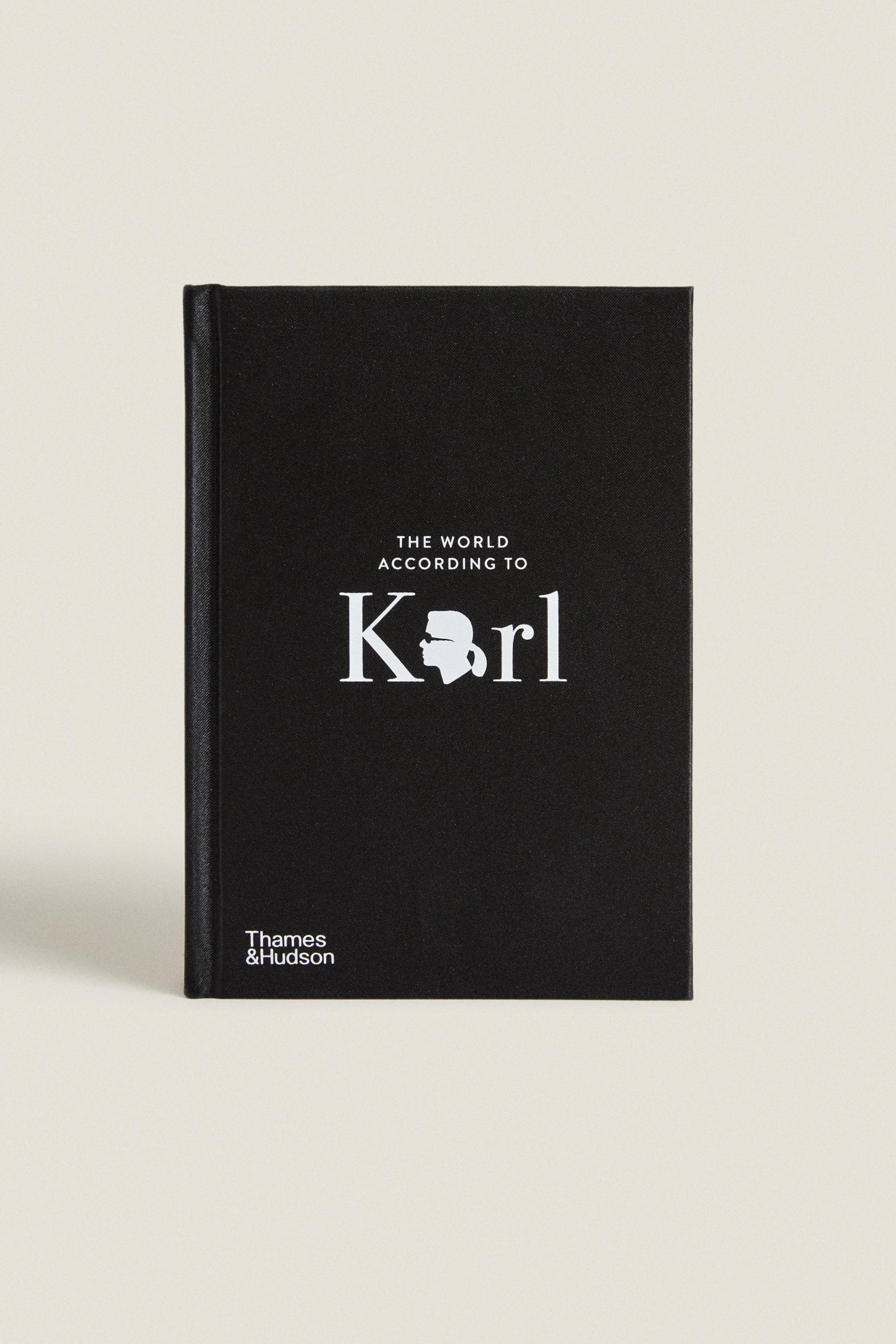 THE WORLD ACCORDING TO KARL BOOK