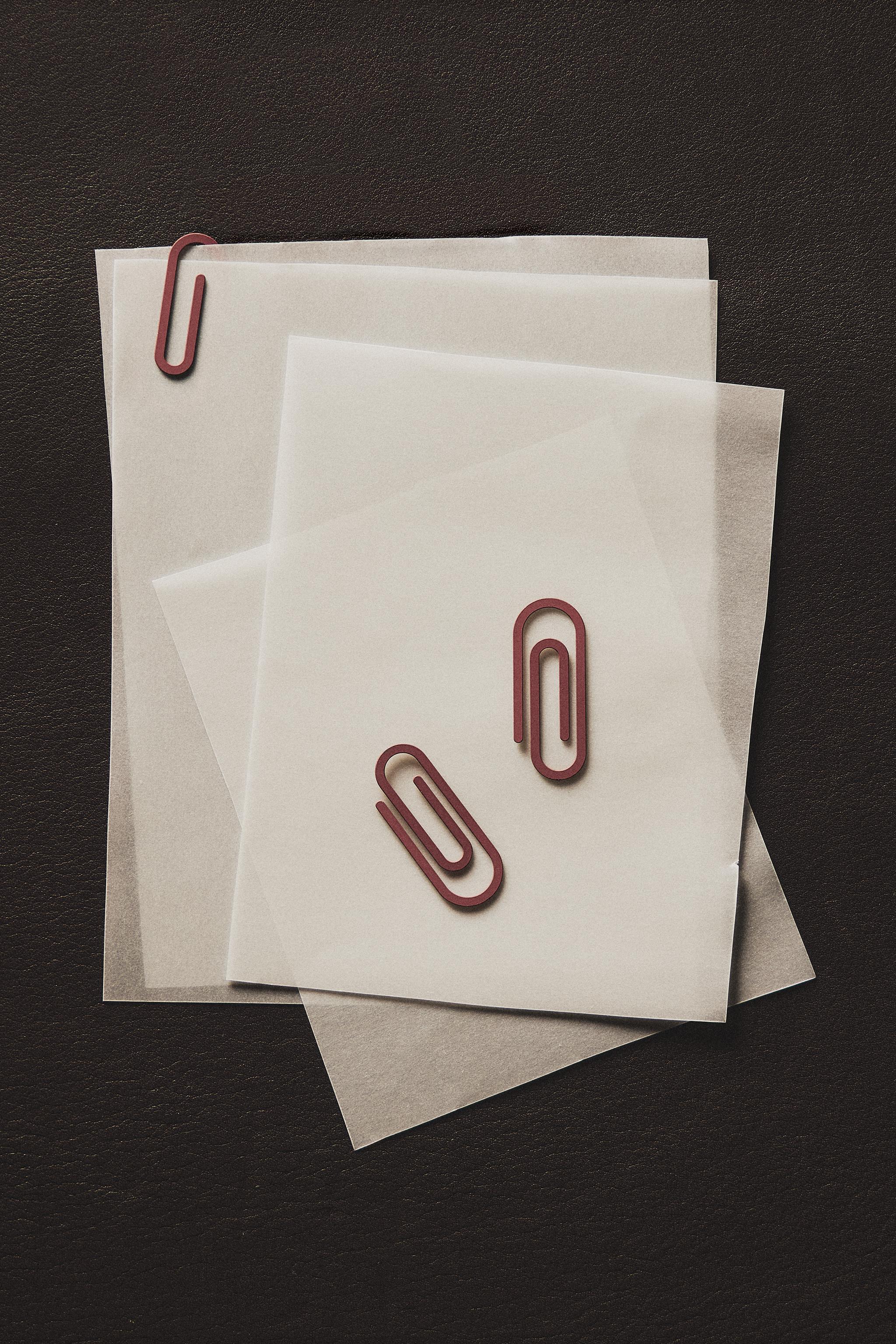 METAL CLIPS (SET OF 30)