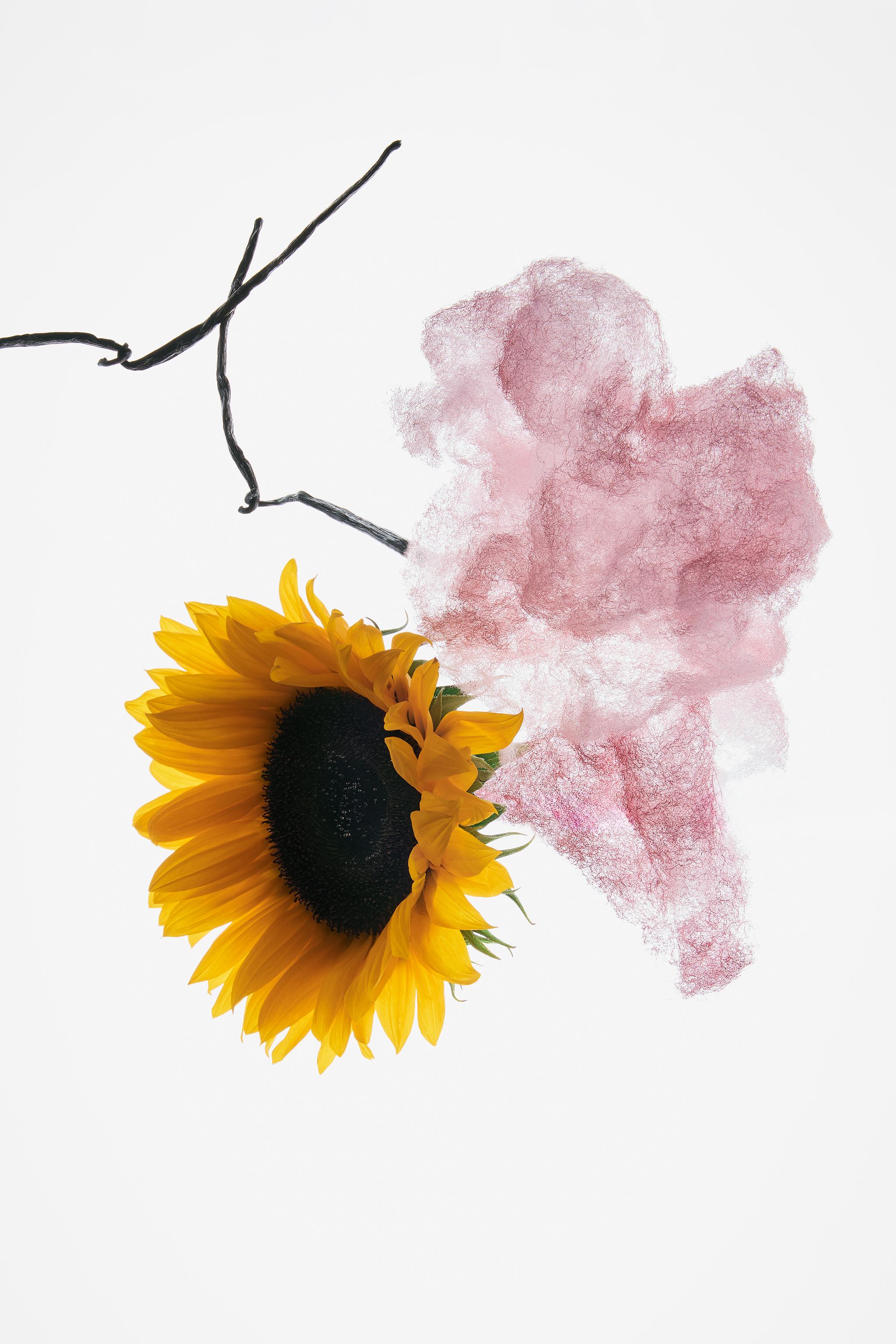 MARSHMALLOW ADDICT EDP 30 ML (1.0 FL. OZ)