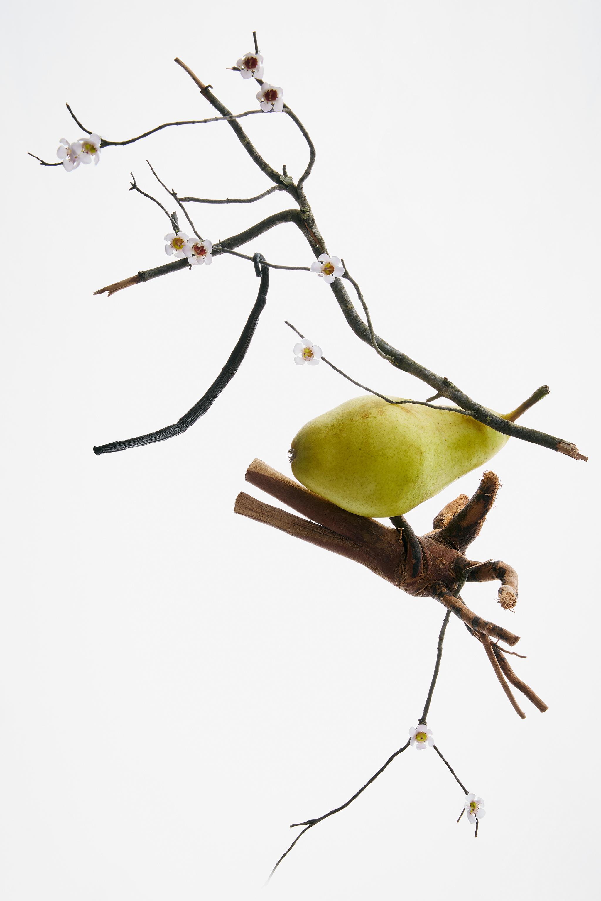 HYPNOTIC VANILLA BLOOM EDP 80 ML (2.71 FL. OZ).