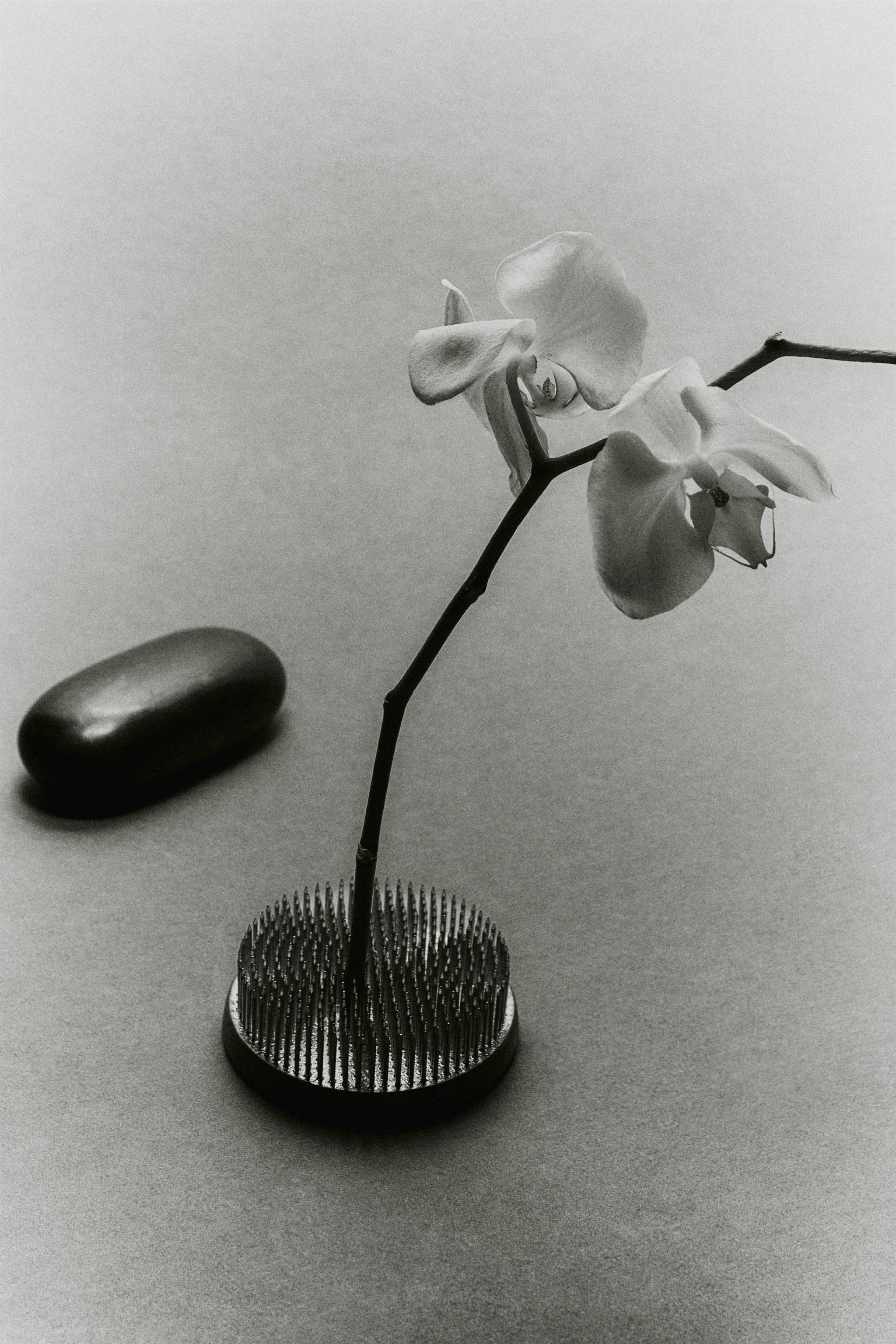 KENZAN FLOWER HOLDER