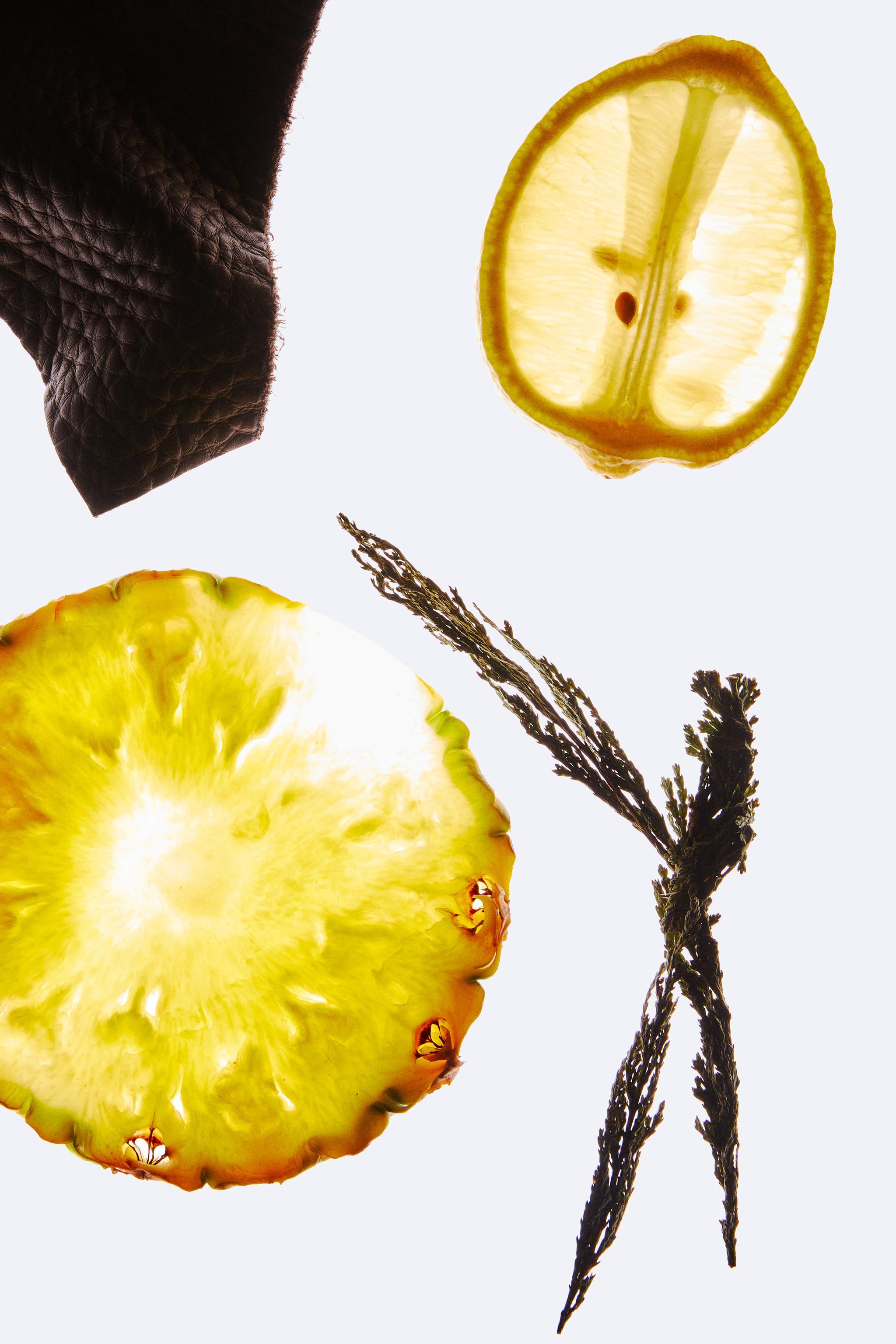 BOGOSS VIBRANT LEATHER EDP 60 ML (2.03 FL. OZ)