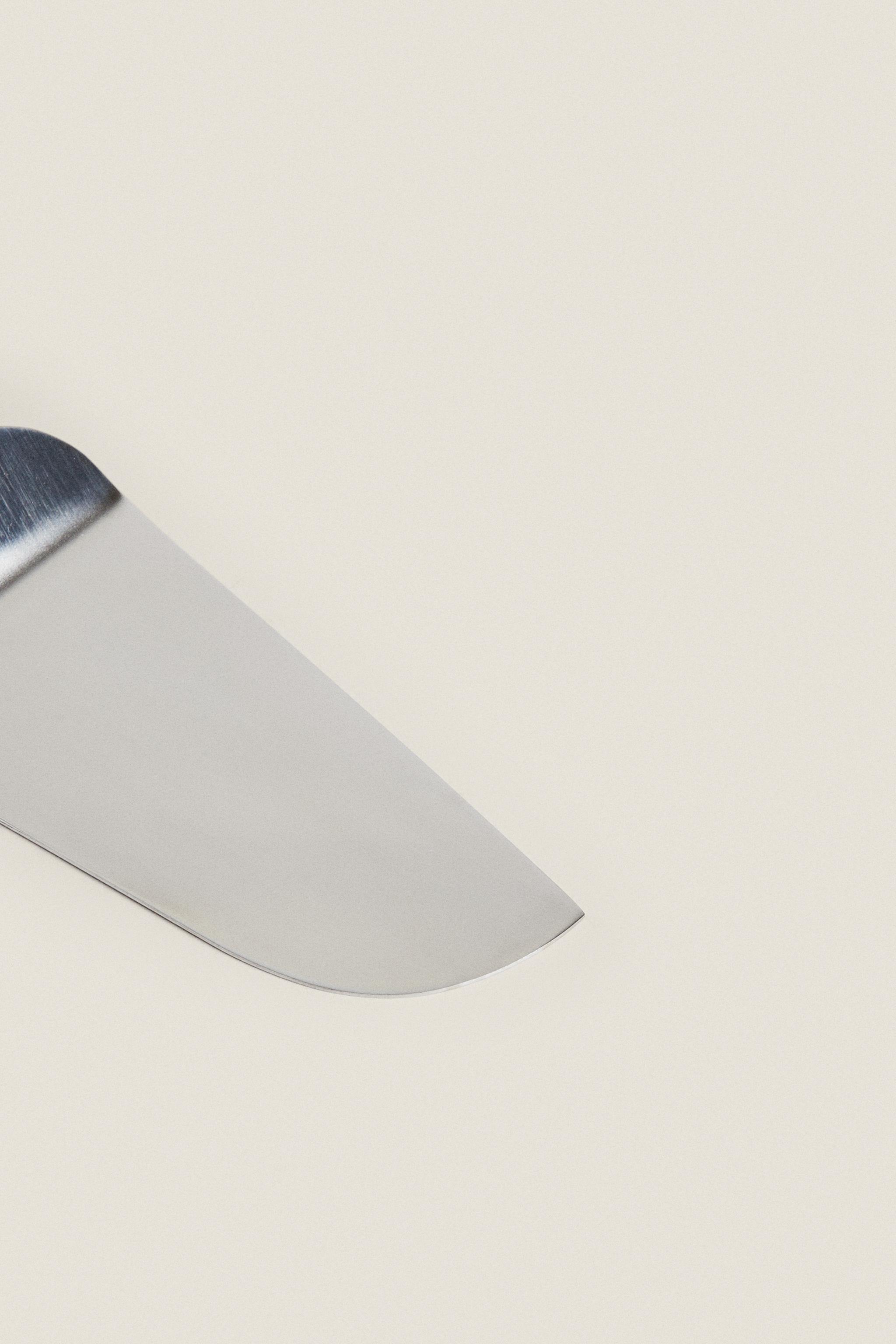 STEEL CAKE SERVER SHINY STEEL