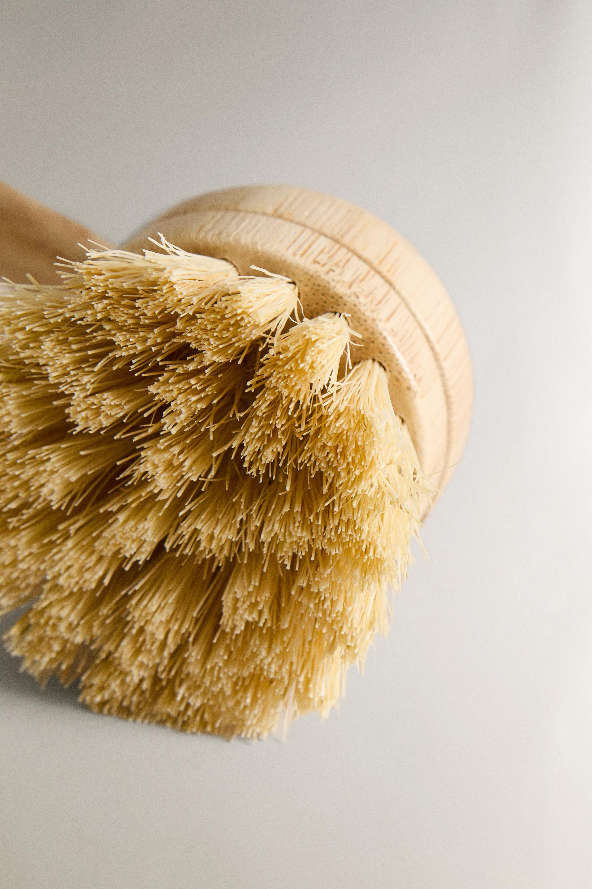 BRUSH WITH INTERCHANGEABLE BRISTLES