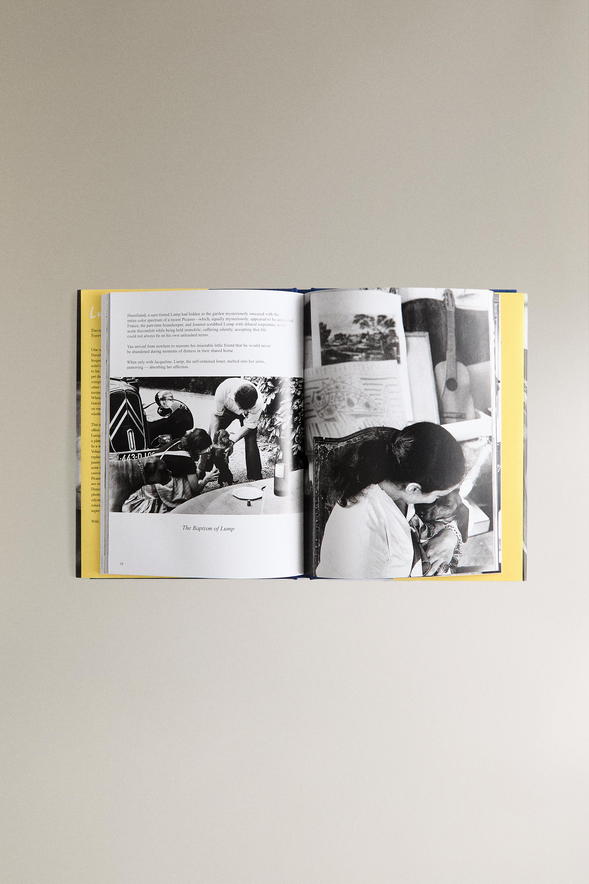 LUMP THE DOG WHO ATE A PICASSO BOOK