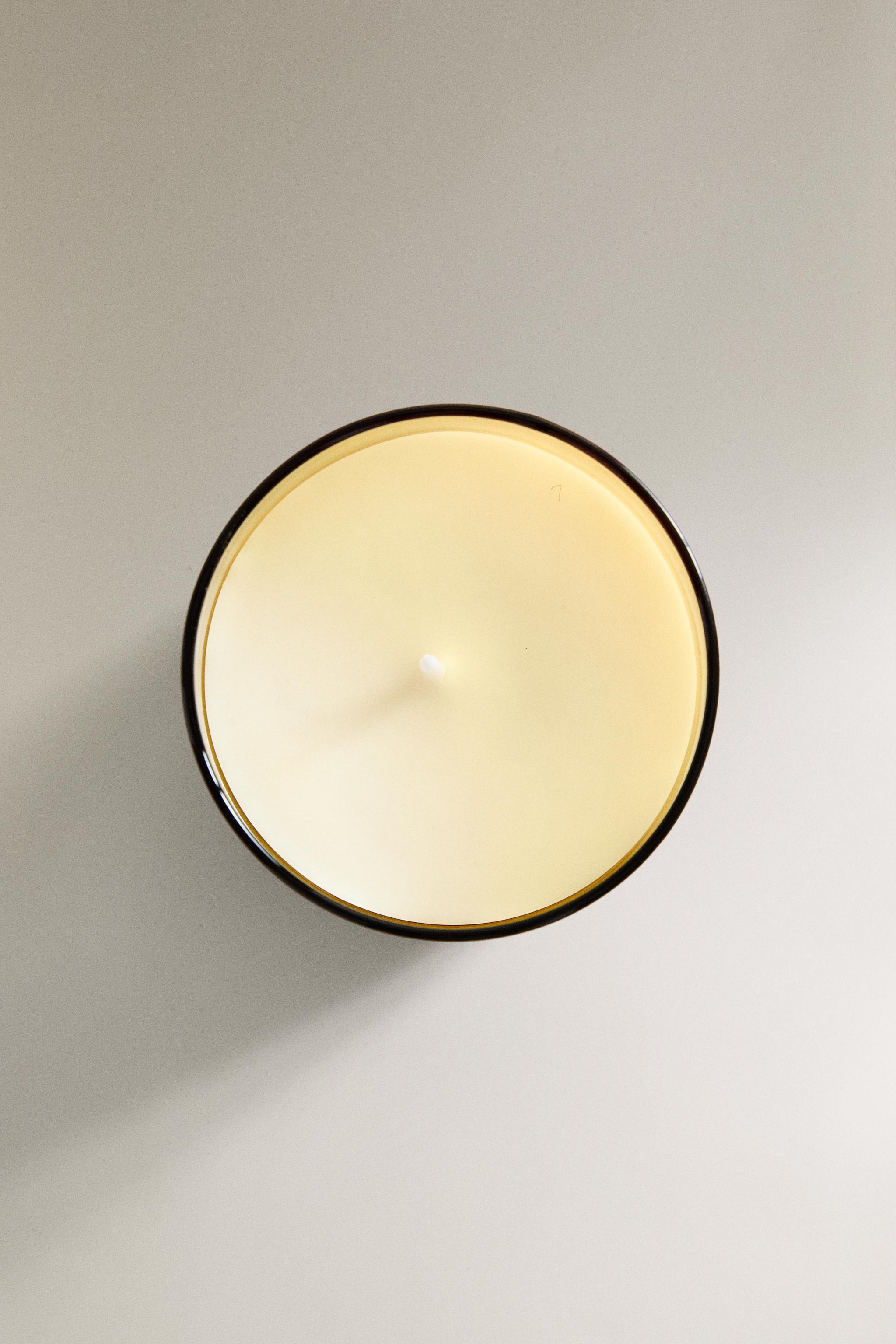 (220 G) COCONUT & PINEAPPLE SCENTED CANDLE