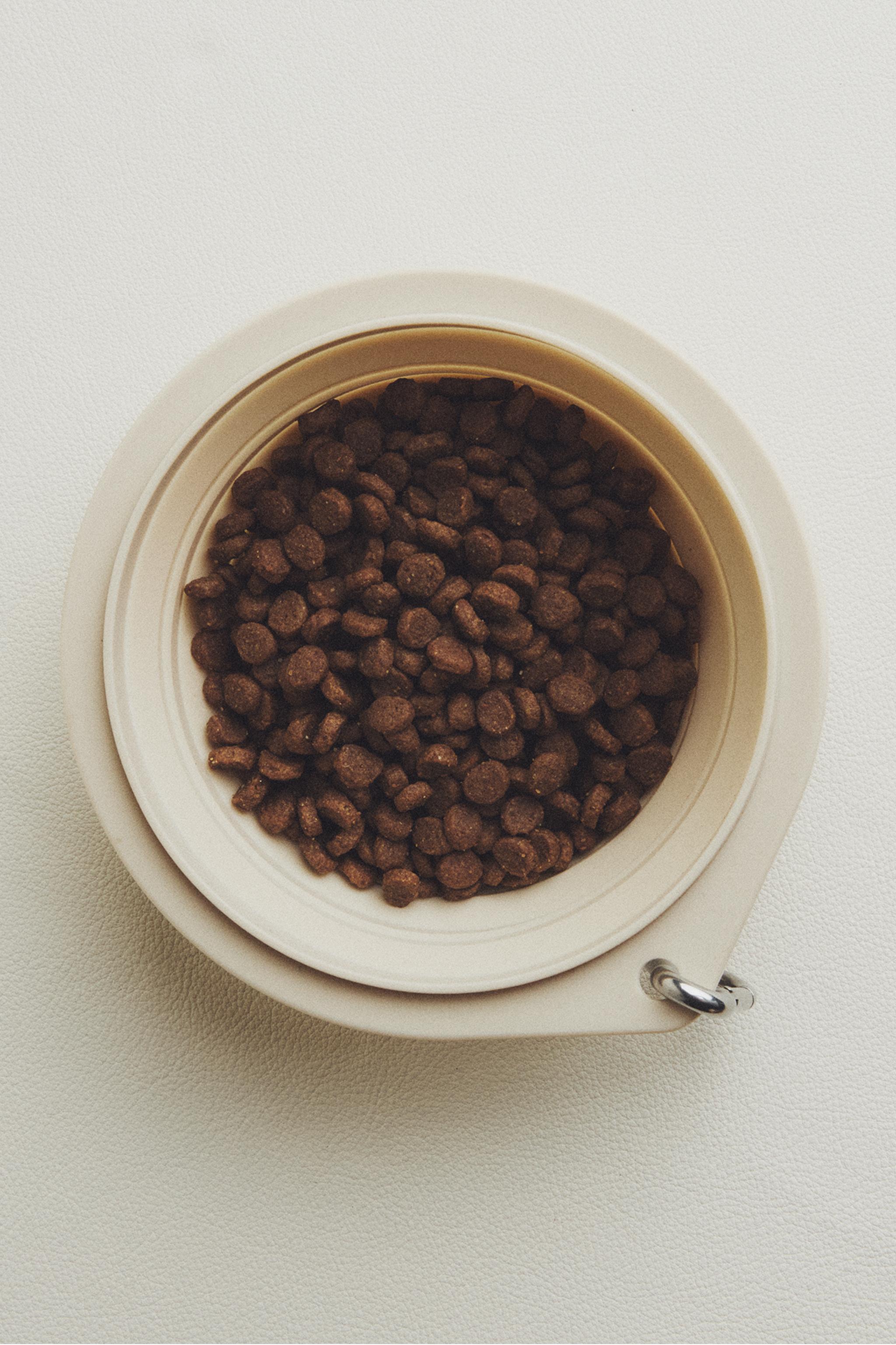 FOLDABLE SILICONE PET FOOD BOWL