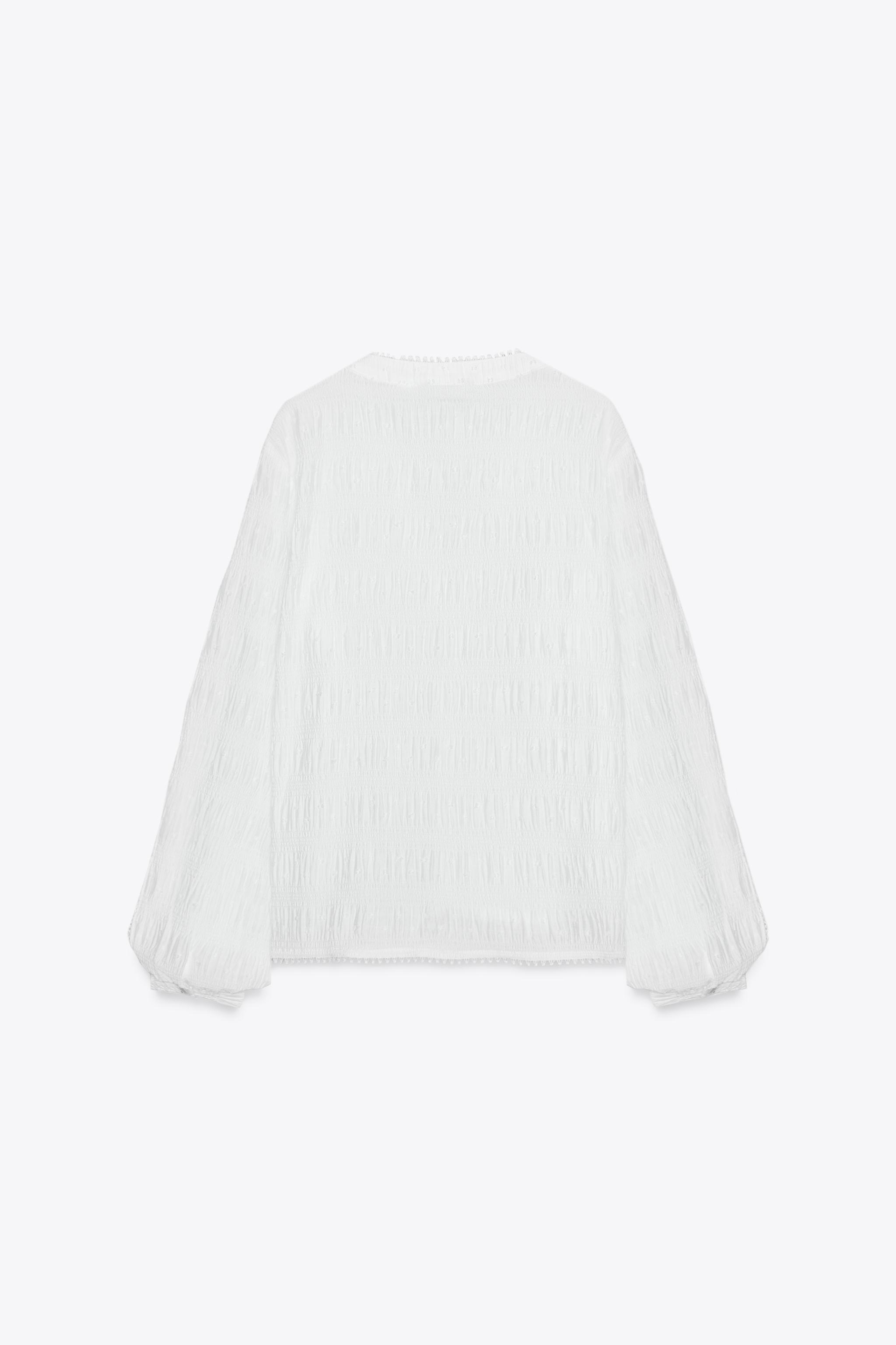 DOTTED MESH LACE TRIM BLOUSE