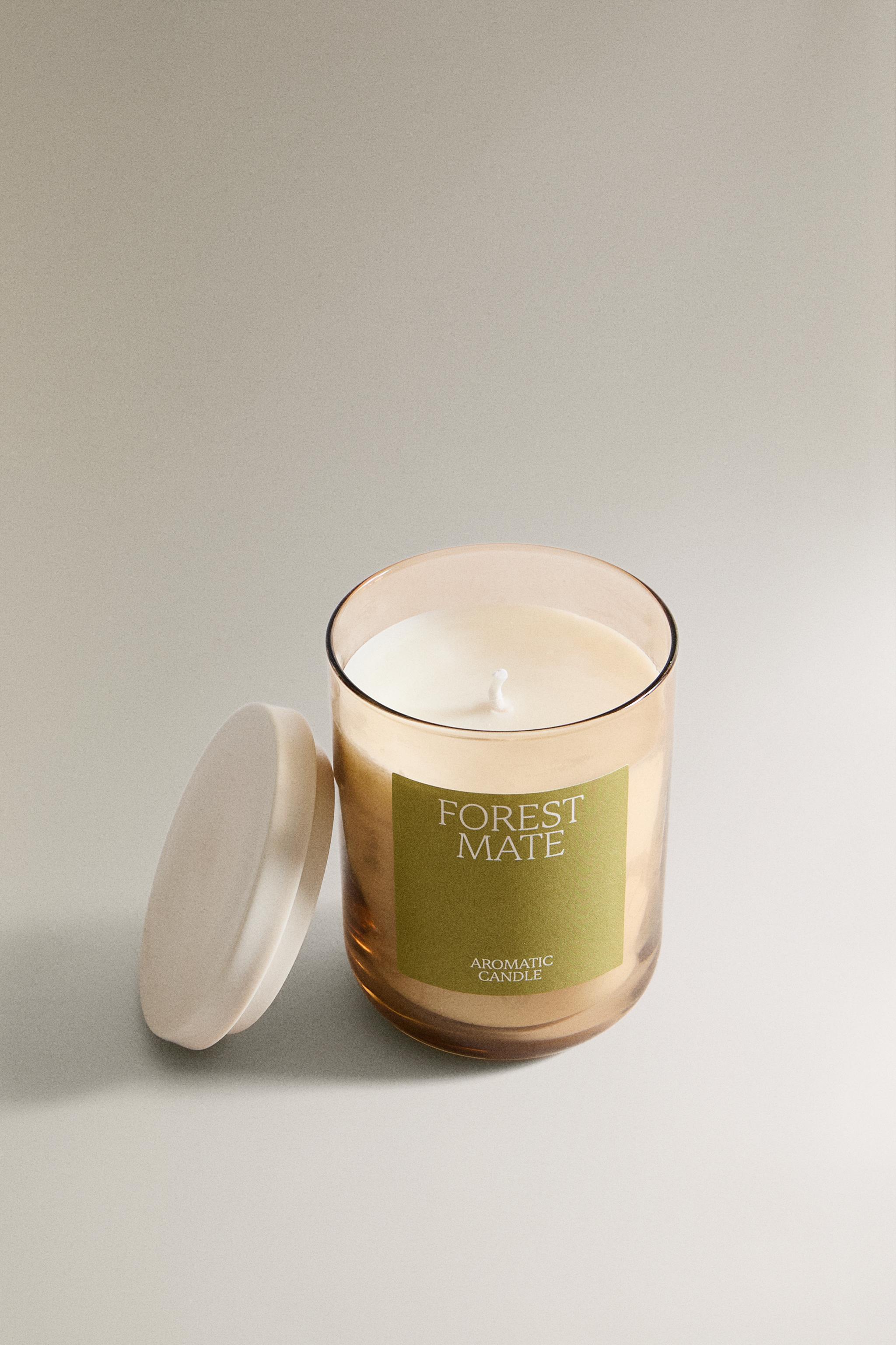 (250 G) FOREST MATTE SCENTED CANDLE