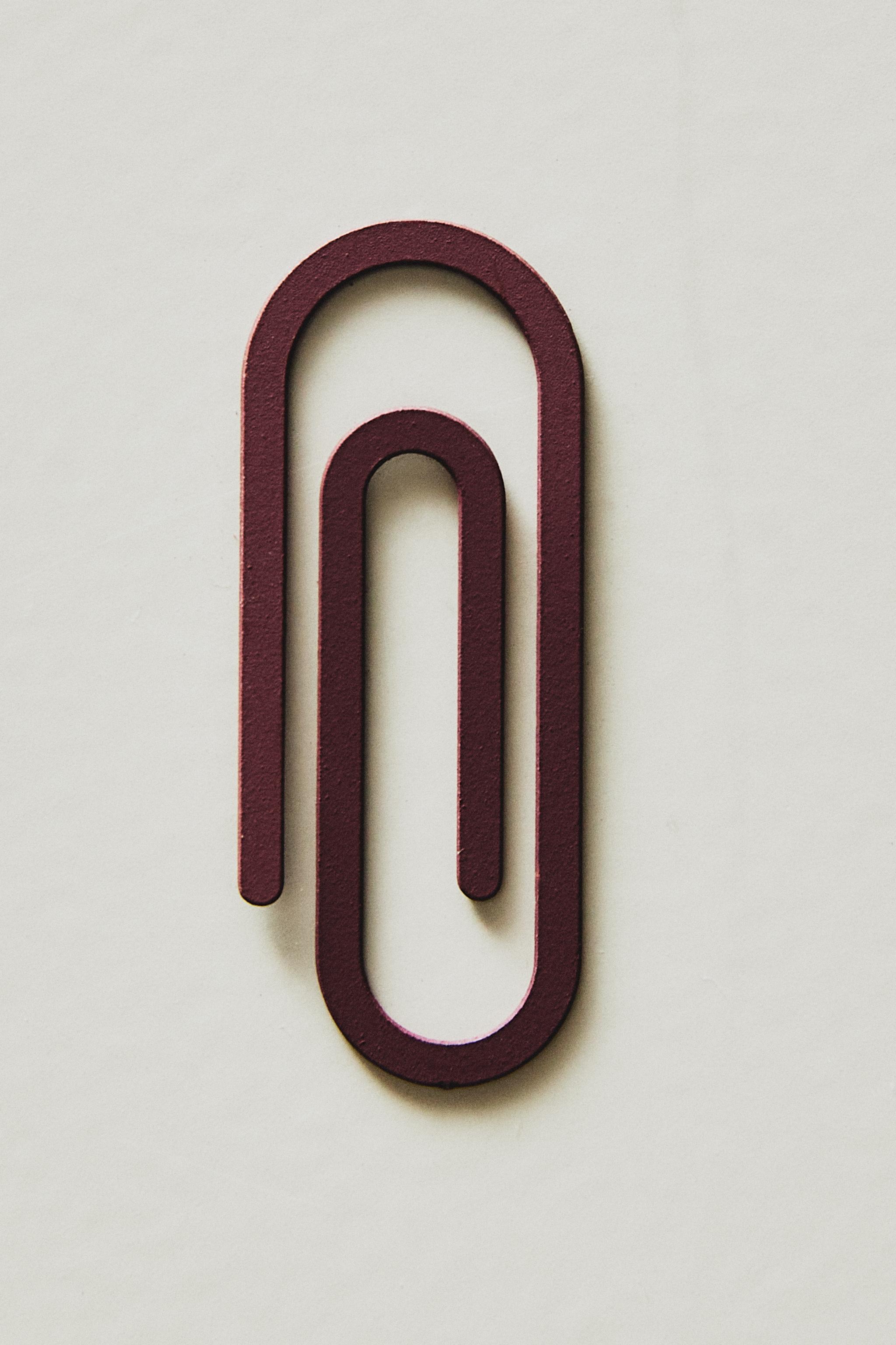 METAL CLIPS (SET OF 30)