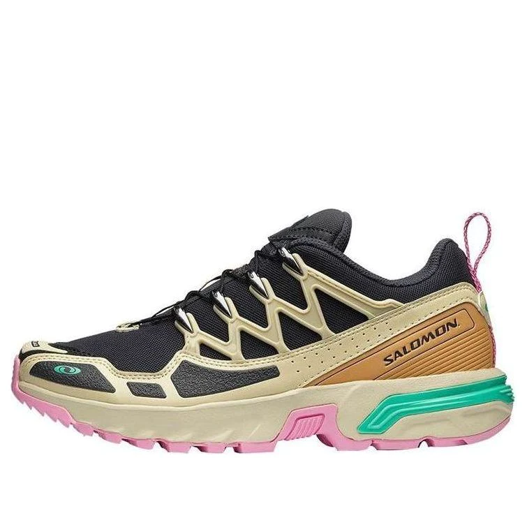 'Black Brown Pink' Hiking Shoes
