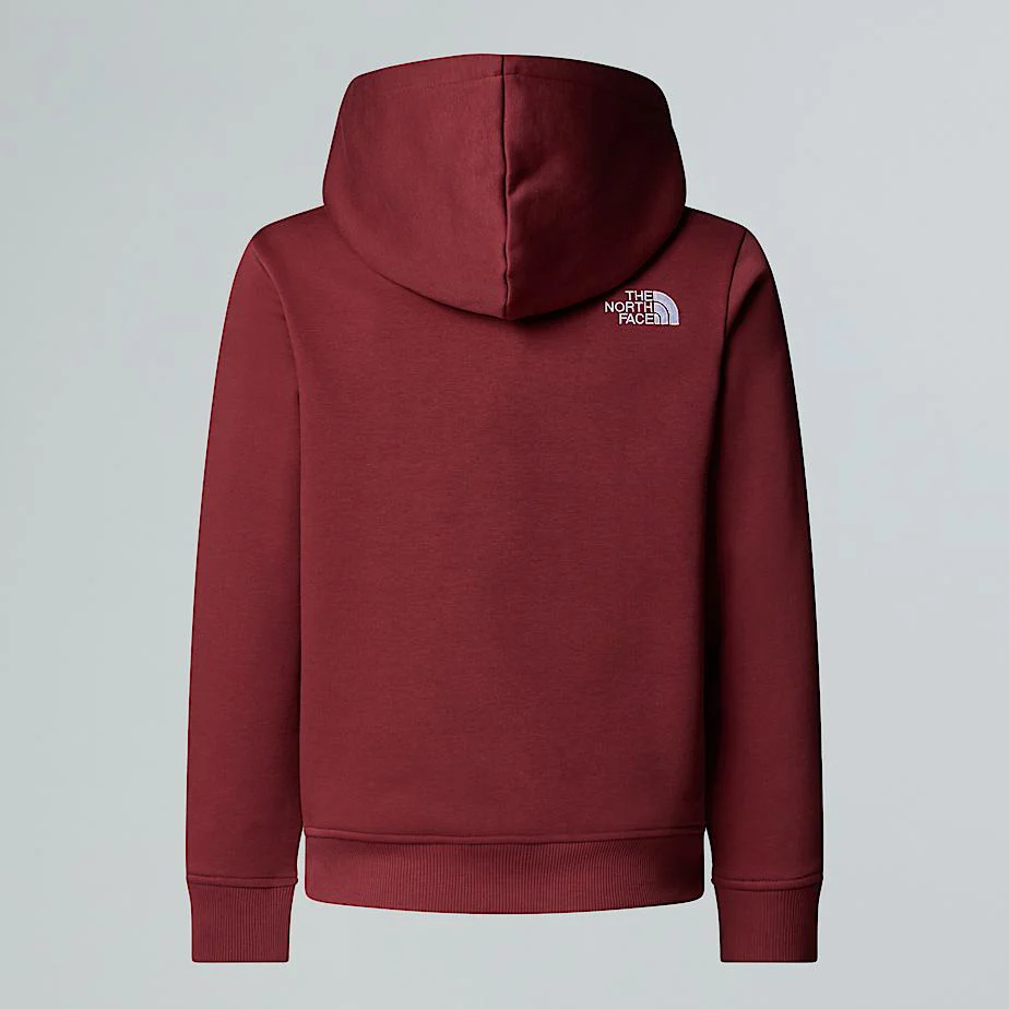 Teens' Drew Peak Pullover Hoodie