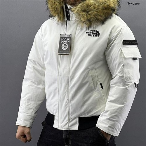 THE NORTH FACEPolar Air Down Jacket