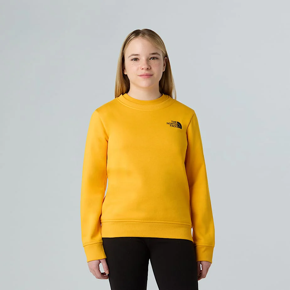 Teens' NSE Box Sweatshirt