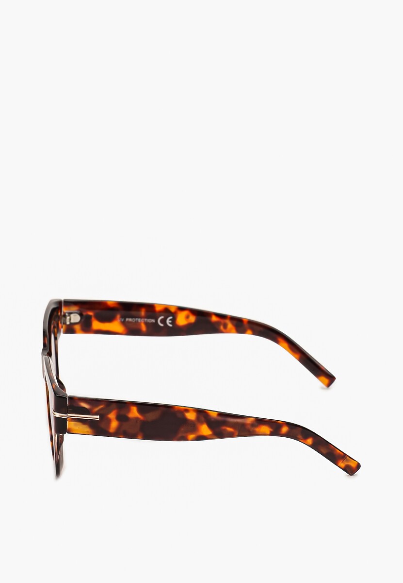 Brązowe Klasyczne Okulary Przeciwsłoneczne z Metalowym Detalem Okordia