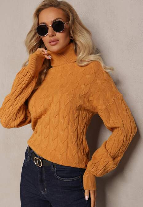 Brązowy Sweterkowy Golf o Warkoczykowym Splocie Taitusi