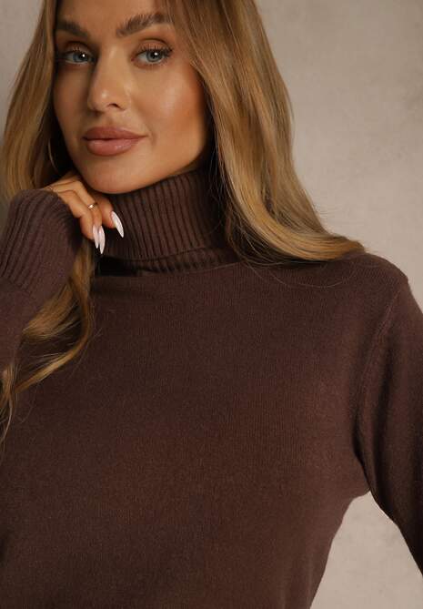 Brązowy Golf Sweter o Dopasowanym Kroju z Kaszmirem Zairith