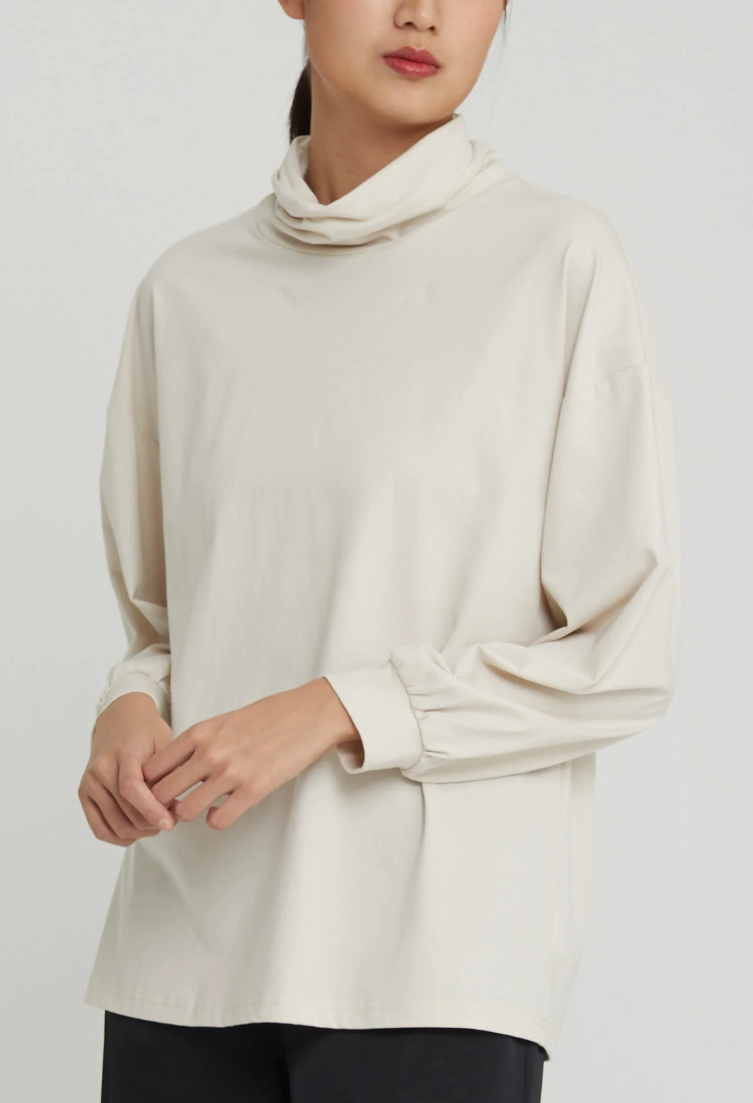 Casual Long Sleeves Turtle-Neck Top