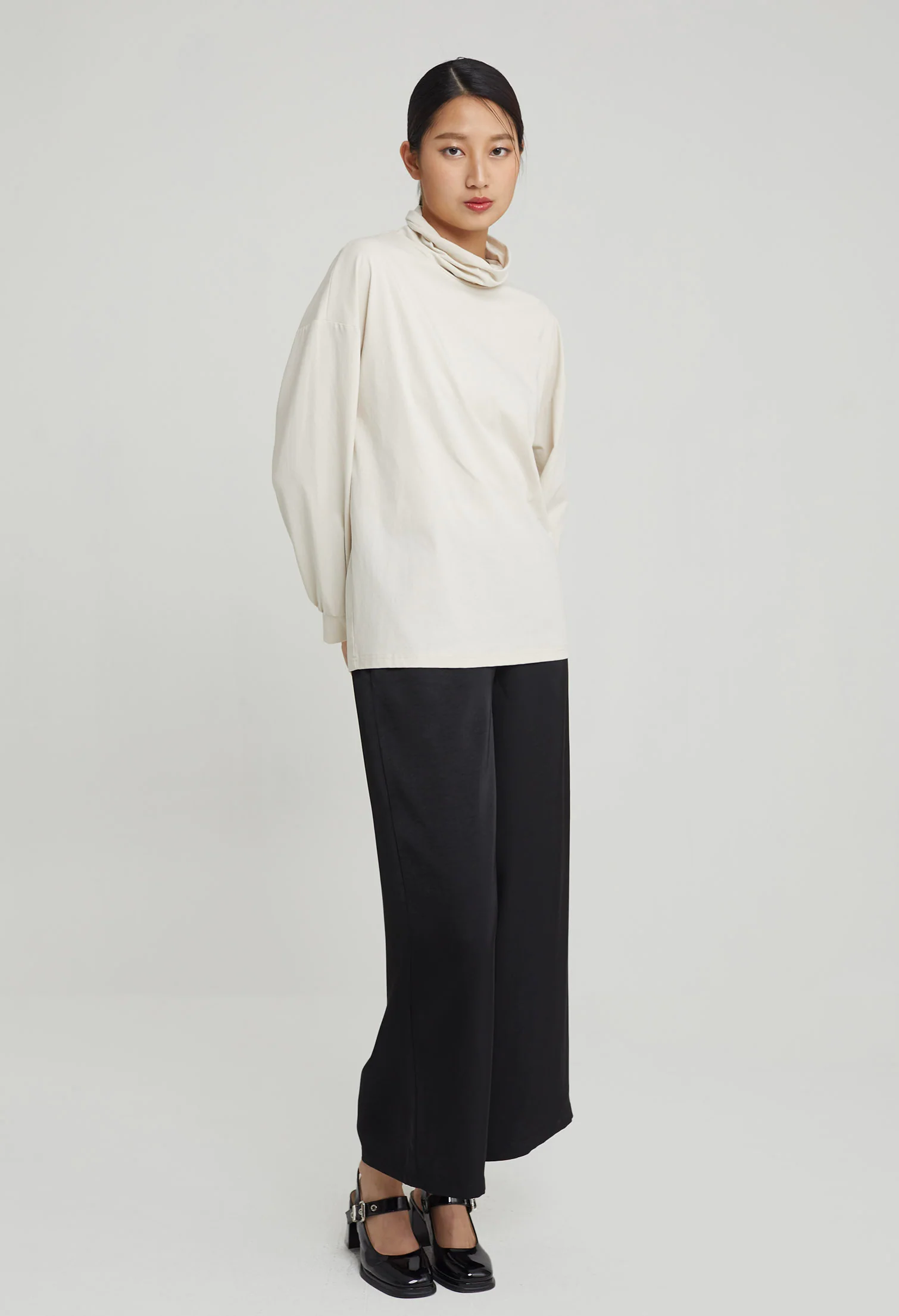 Casual Long Sleeves Turtle-Neck Top