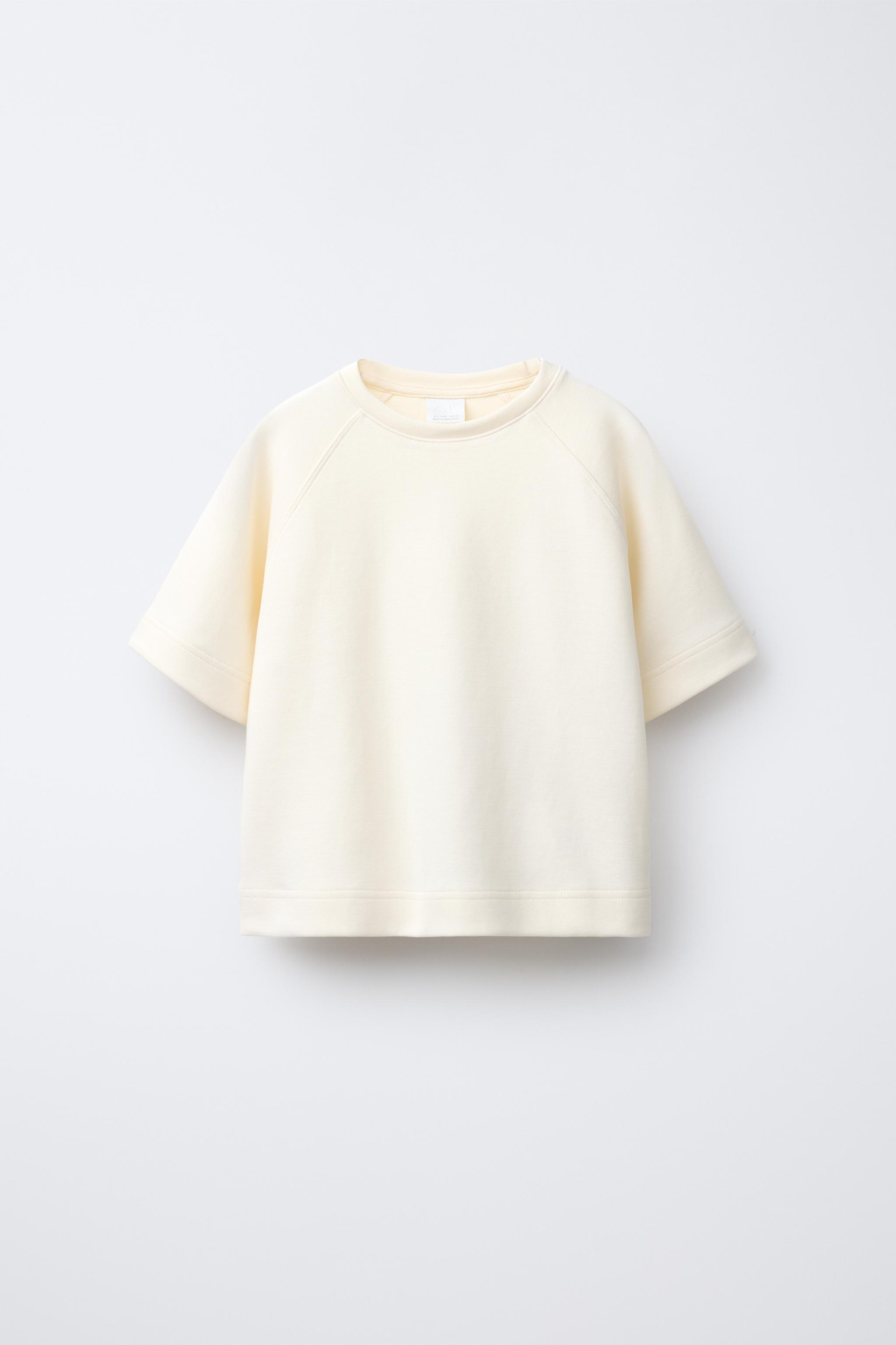 BASIC RAGLAN SLEEVE T-SHIRT