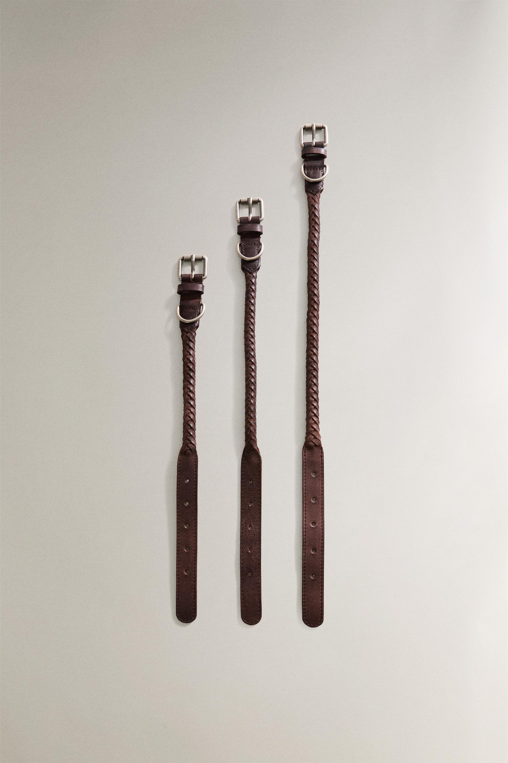 BRAIDED LEATHER DOG COLLAR