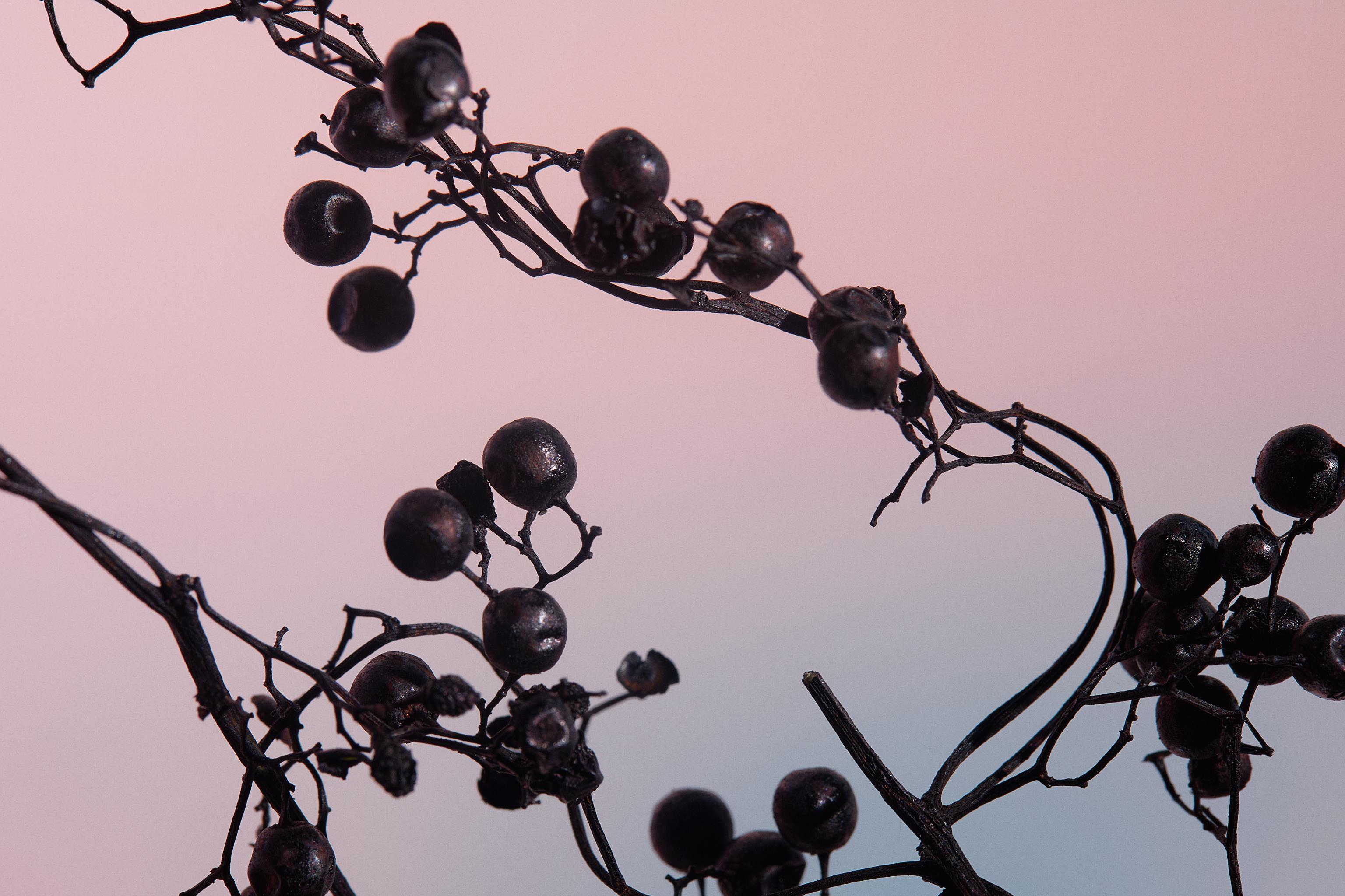 ORCHID EDP 90 ML (3.04 FL. OZ)