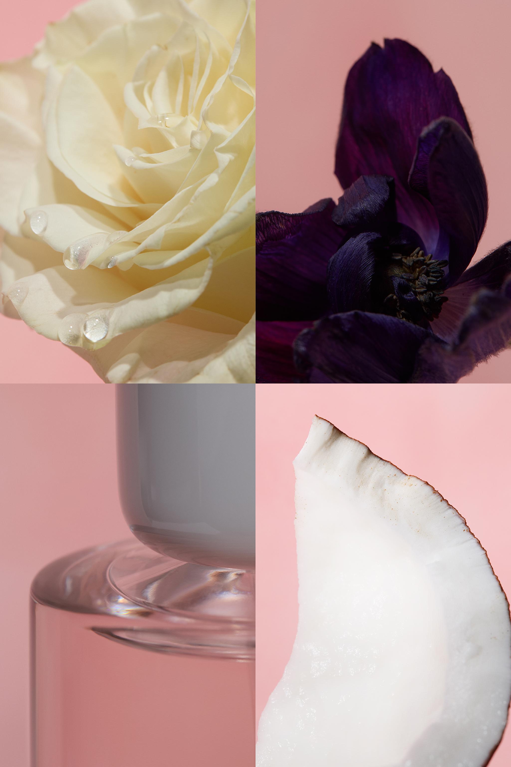 WONDER ROSE EDT 90 ML (3.04 FL. OZ)