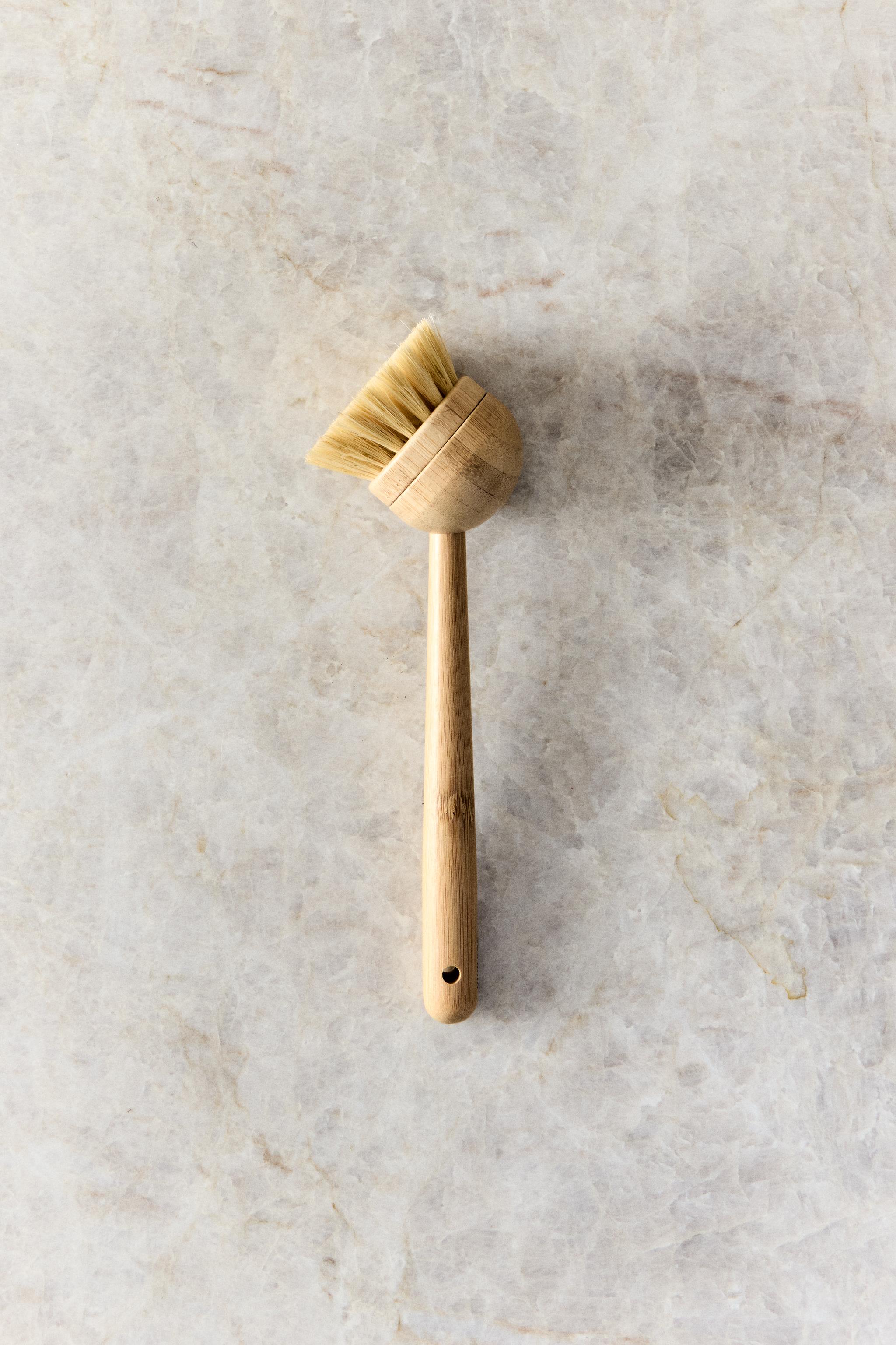BRUSH WITH INTERCHANGEABLE BRISTLES
