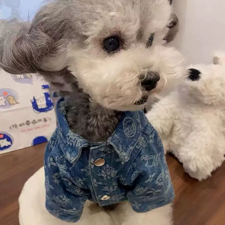 Pet Autumn & Winter Denim Shirt Jacket - All-Over Print Cotton Denim
