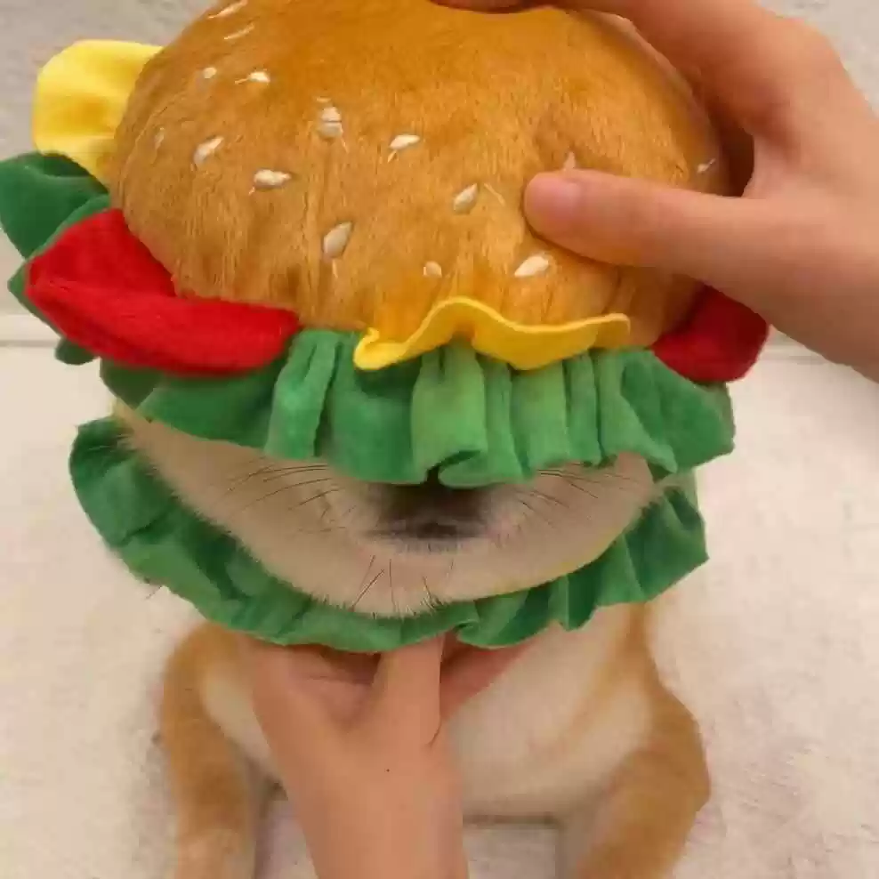 Cartoon Cute Pet Hat - Hamburger Headgear