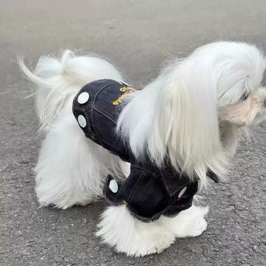 Small Dog Spring/Autumn Denim Vest Jacket