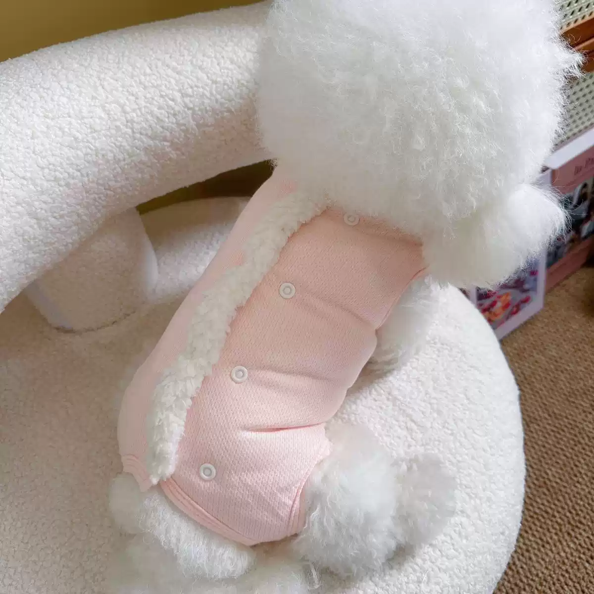 Autumn and Winter New Warm Cute Small Dog Full Coverage Pet Clothes