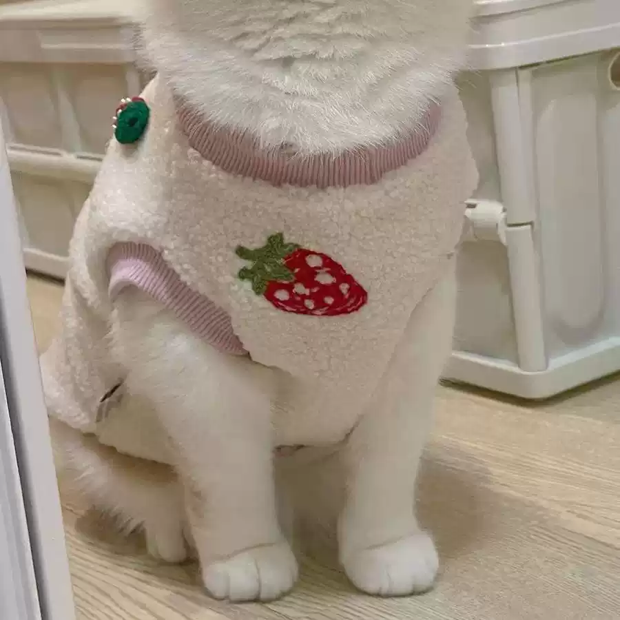 Cute Lamb Wool Strawberry Vest for Cats & Dogs - Warm Pet Clothing