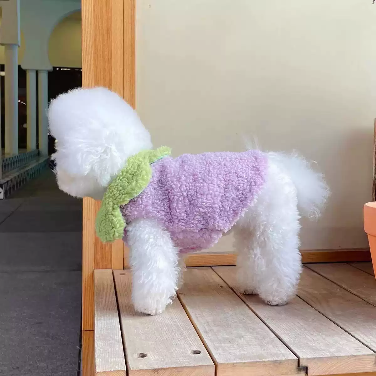 Thickened Pet Autumn/Winter Vest - Cute Carrot Design, Transformation Outfit