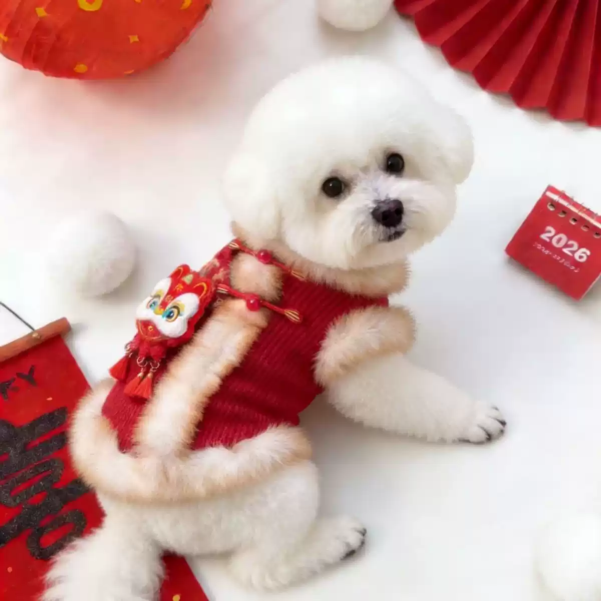 Pet Thickened New Year Warm Coat, Festive Tang Suit Style, Small Pet Winter Clothing