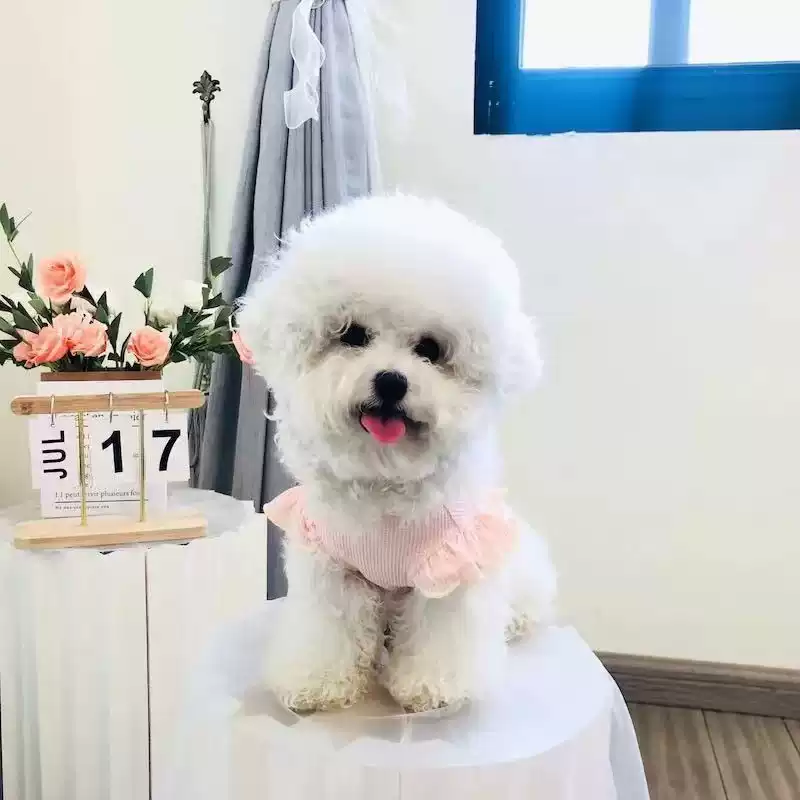 Spring/Summer Pet Dress - Waffle Pattern with Flowers & Flutter Sleeves