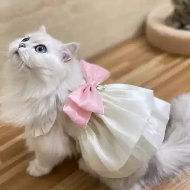 Pet Spring Summer Flowing Tulle Dress - Breathable Outdoor Leash-Style Sun Protection Thin Dress