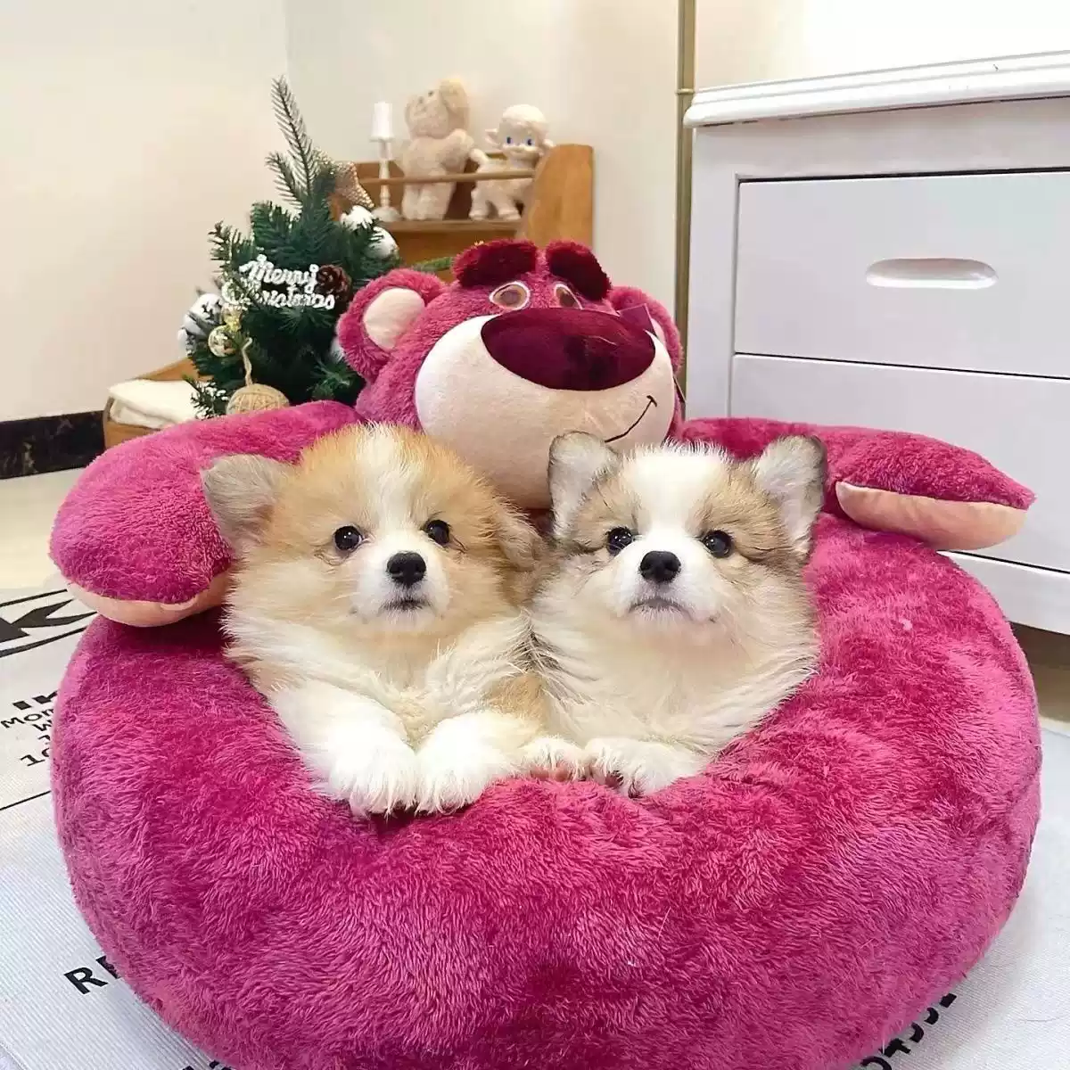 Winter Warm Open-Style Cat Bed - Pet Supplies